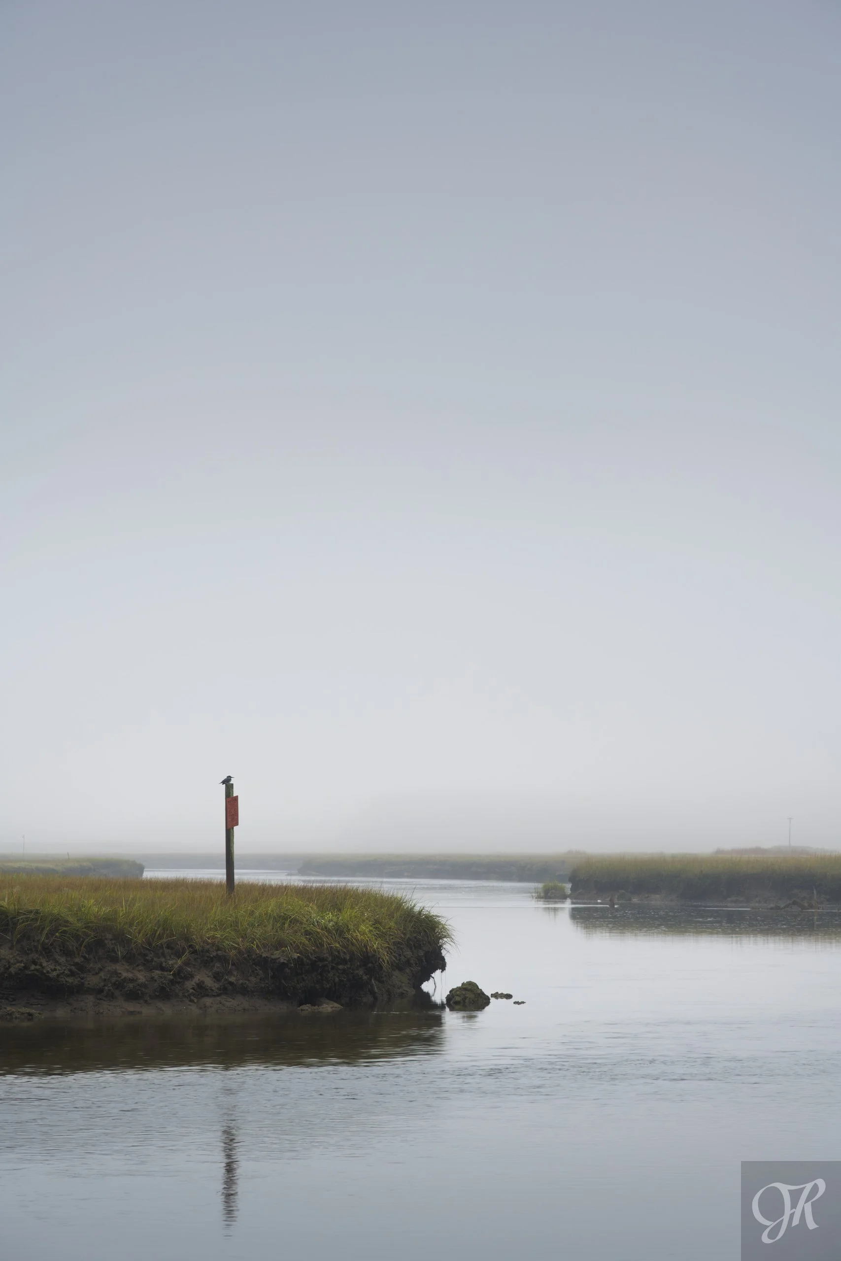  

 
 Kingfisher of the Creek 
 
A lone belted kingfisher surveys the creek below from atop its perch.
 

 
 Purchase Print 
 

 