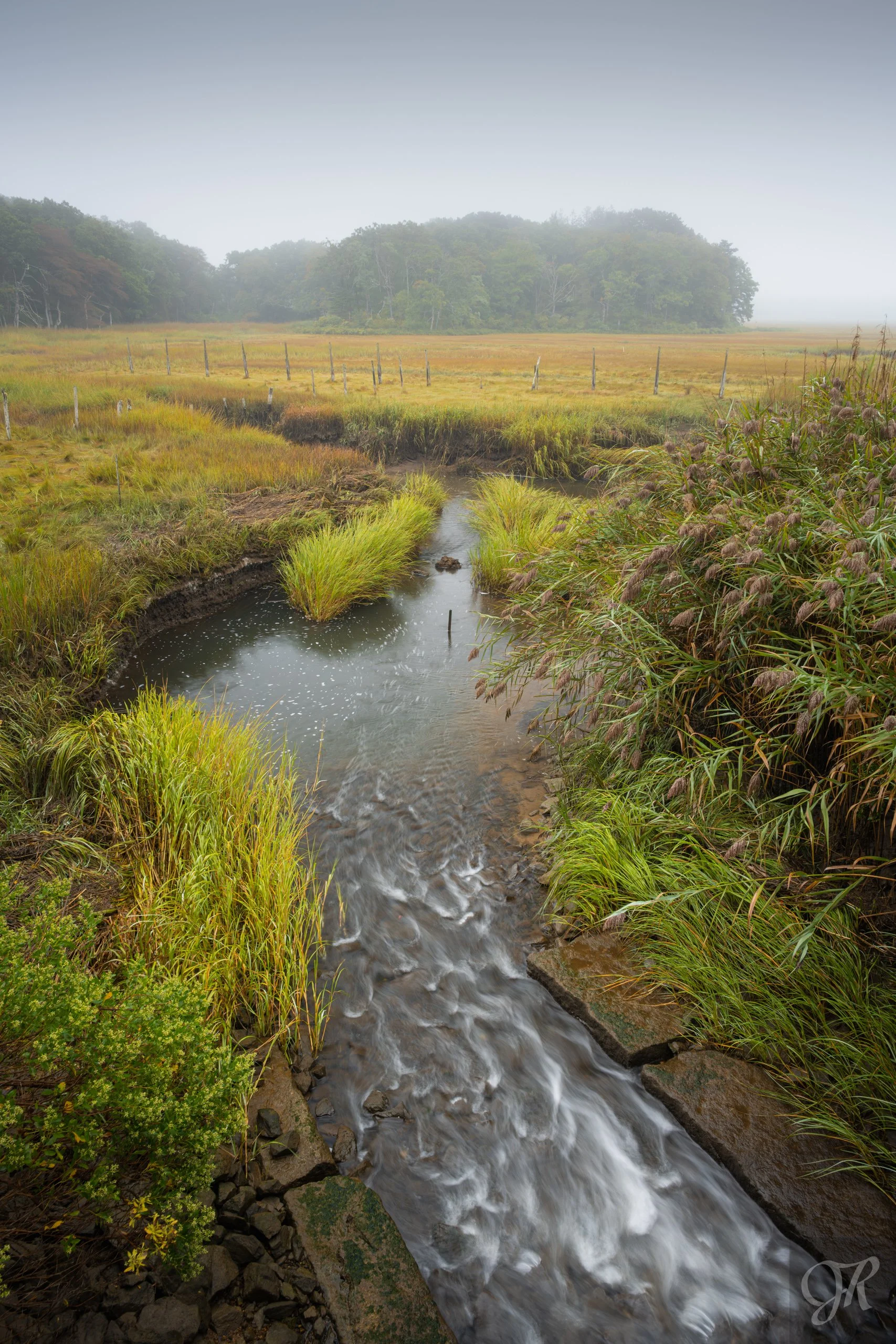  

 
 Foggy View Over the Marshes 
 
Scorton Creek splinters off into a number of smaller creeks; this one flows under a bridge on the trail leading to the entrance of Talbot's Point Conservation Area.
 

 
 Purchase Print 
 

 