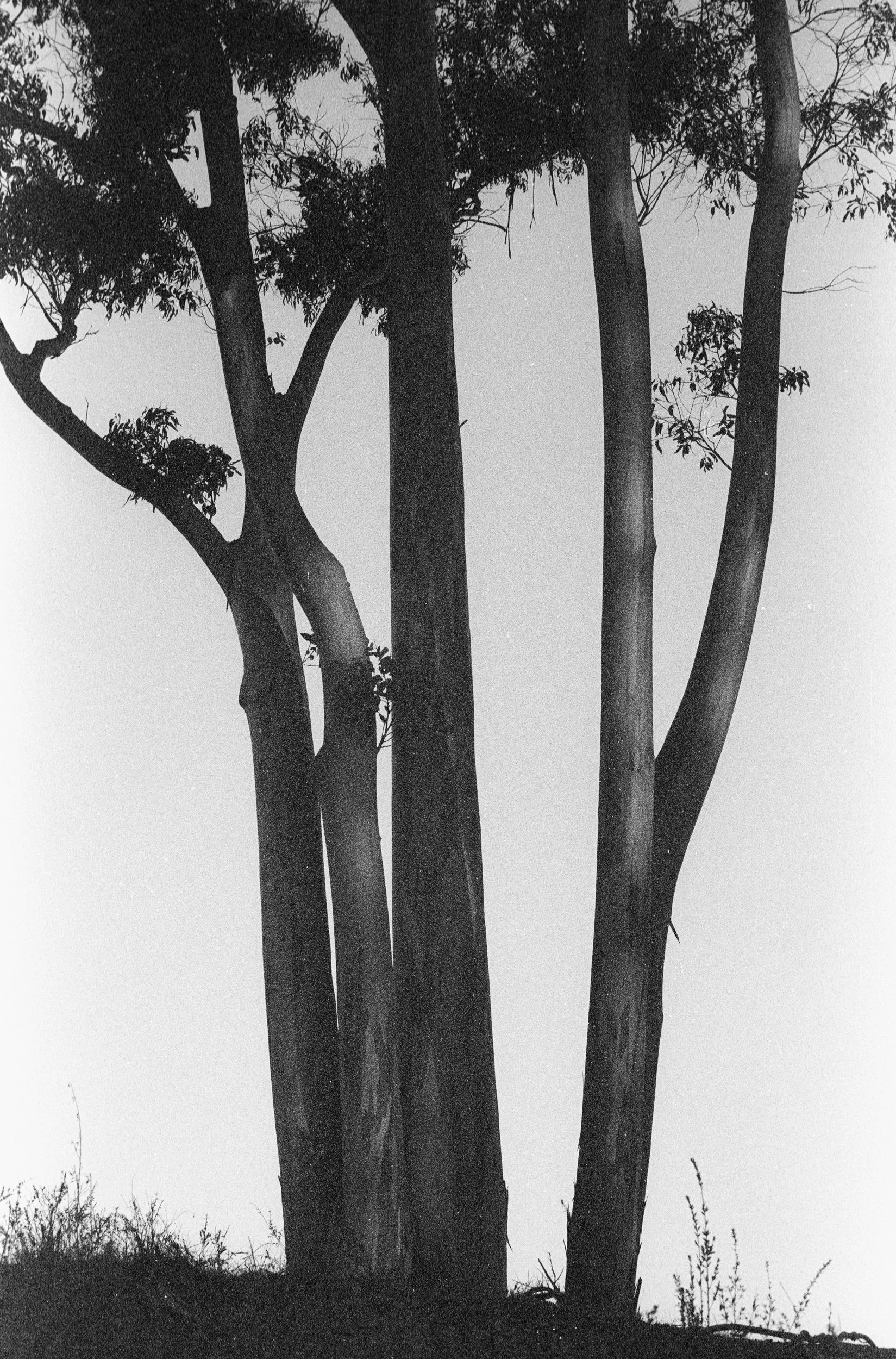 illford-HP5_09-03-25_23.jpg