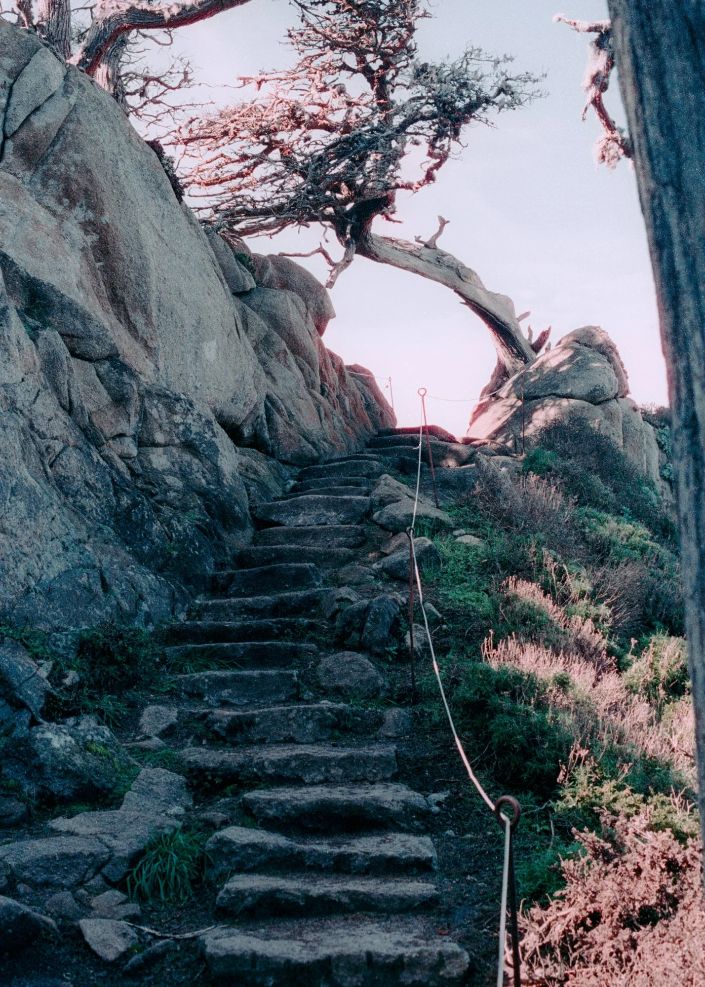 Point Lobos Stairs