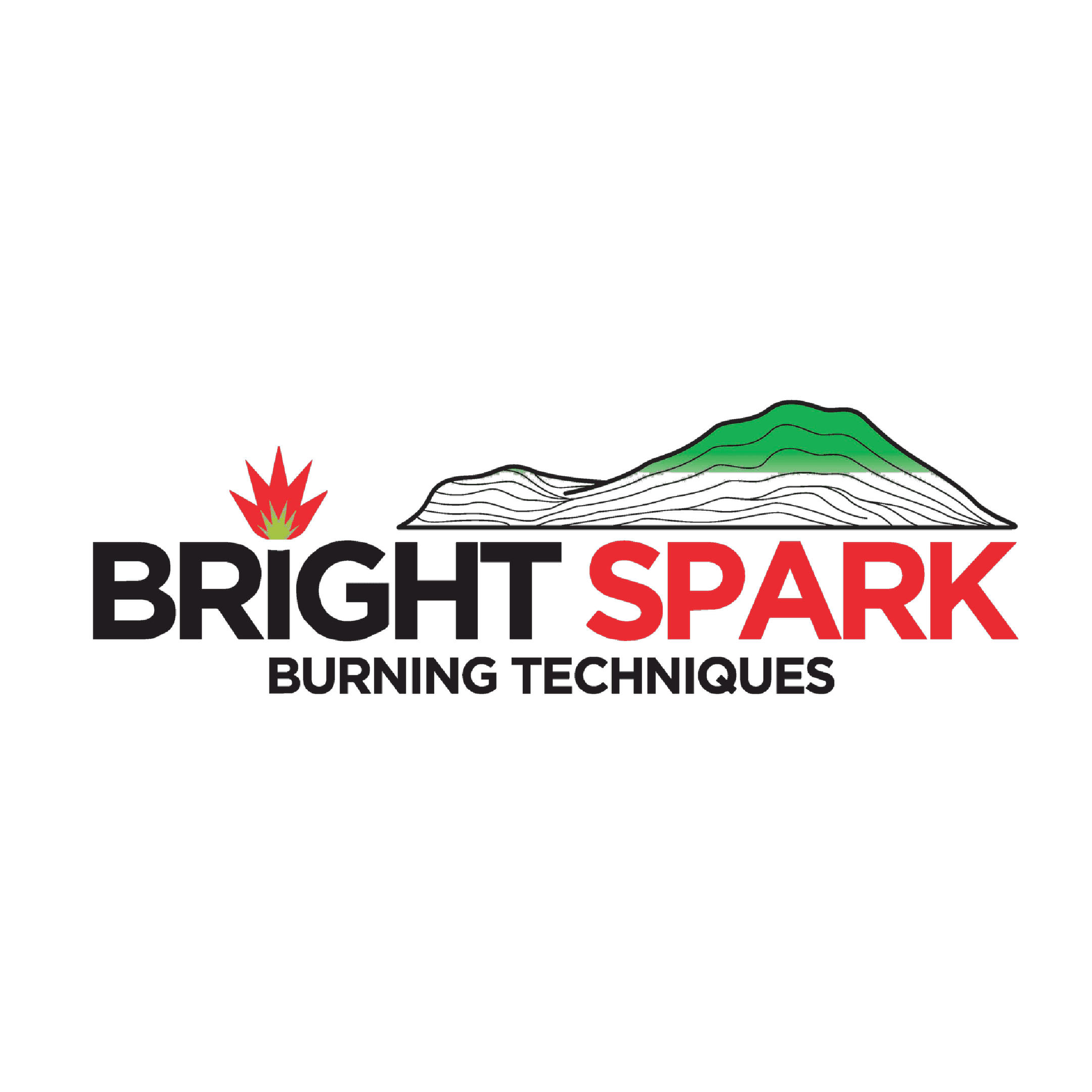 Bright Spark
