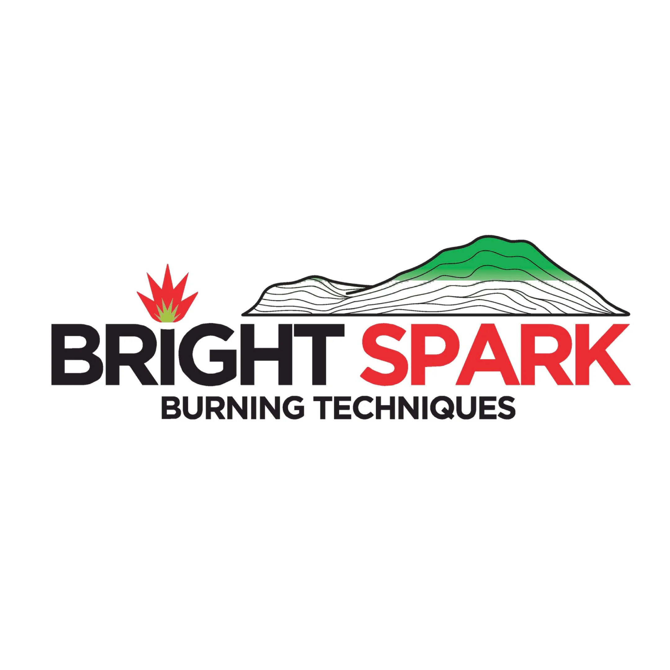Bright Spark