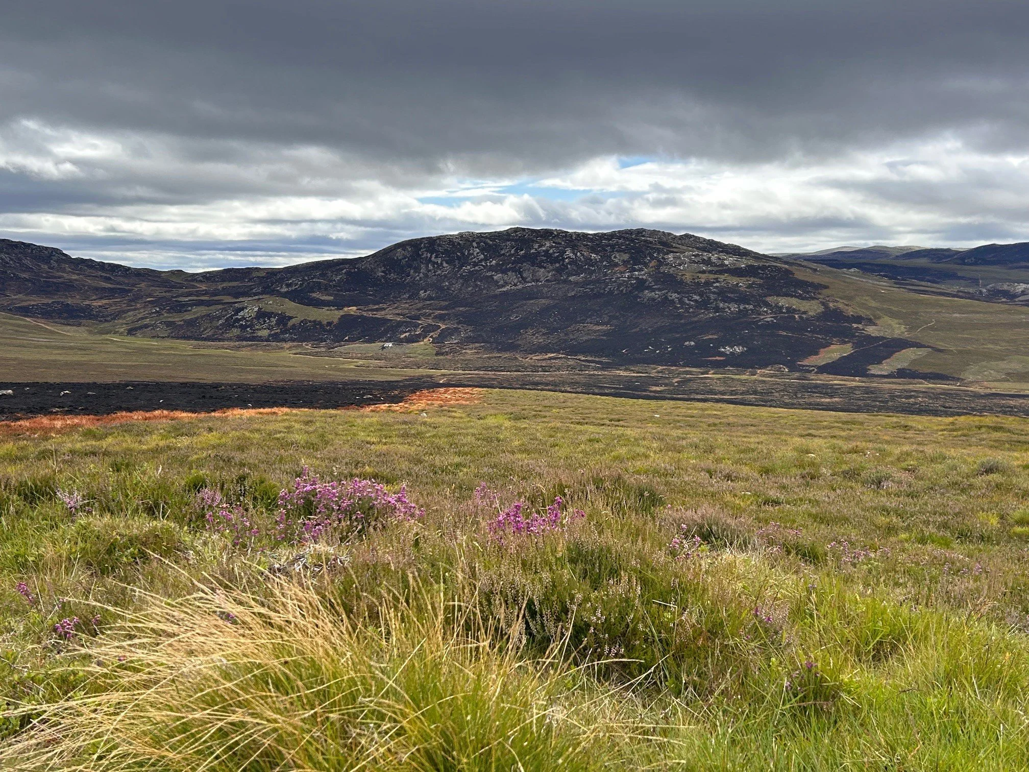 Dava moor.jpg