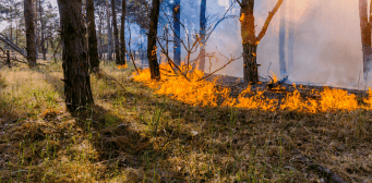 Delta Fire Engineering