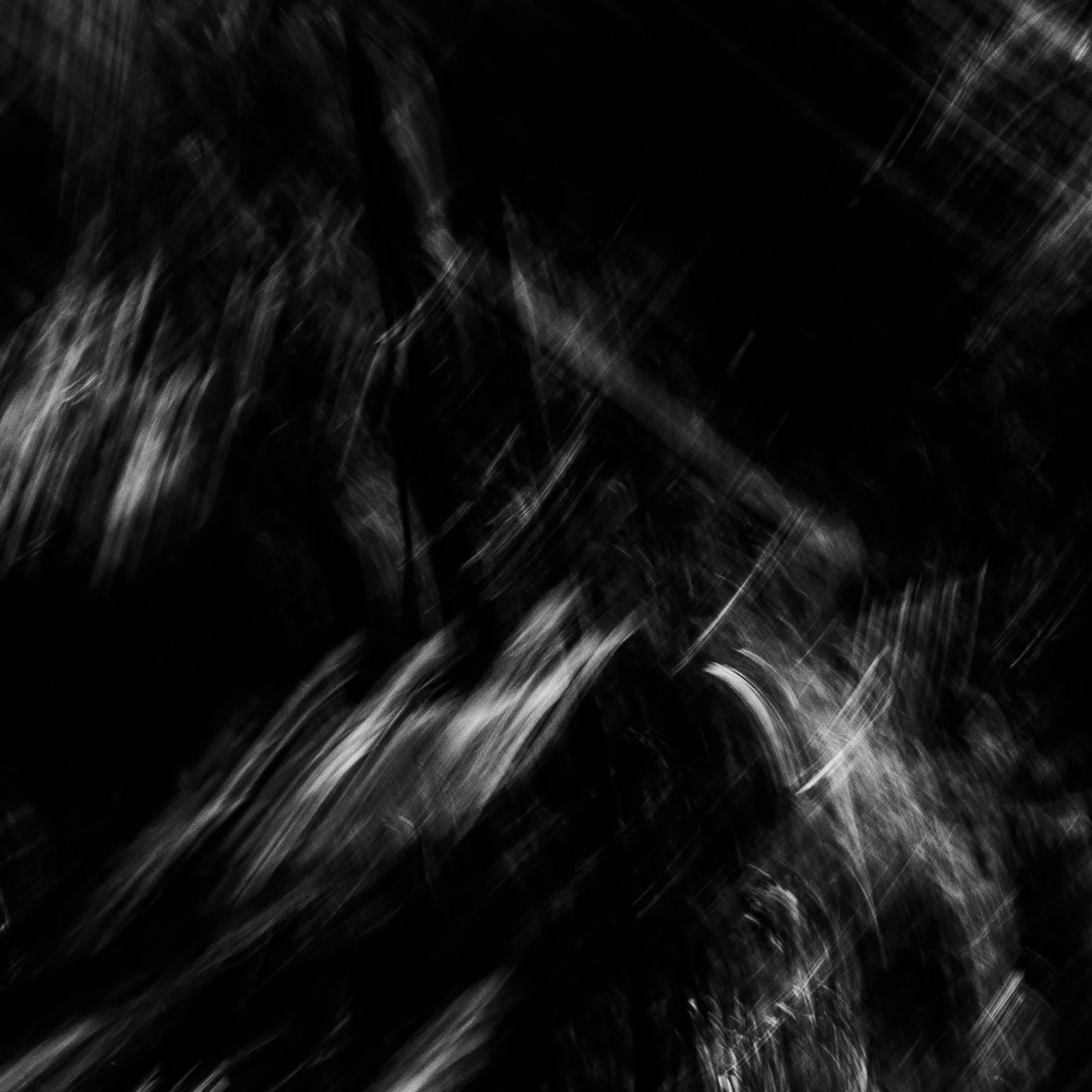 _N4A4712.jpg