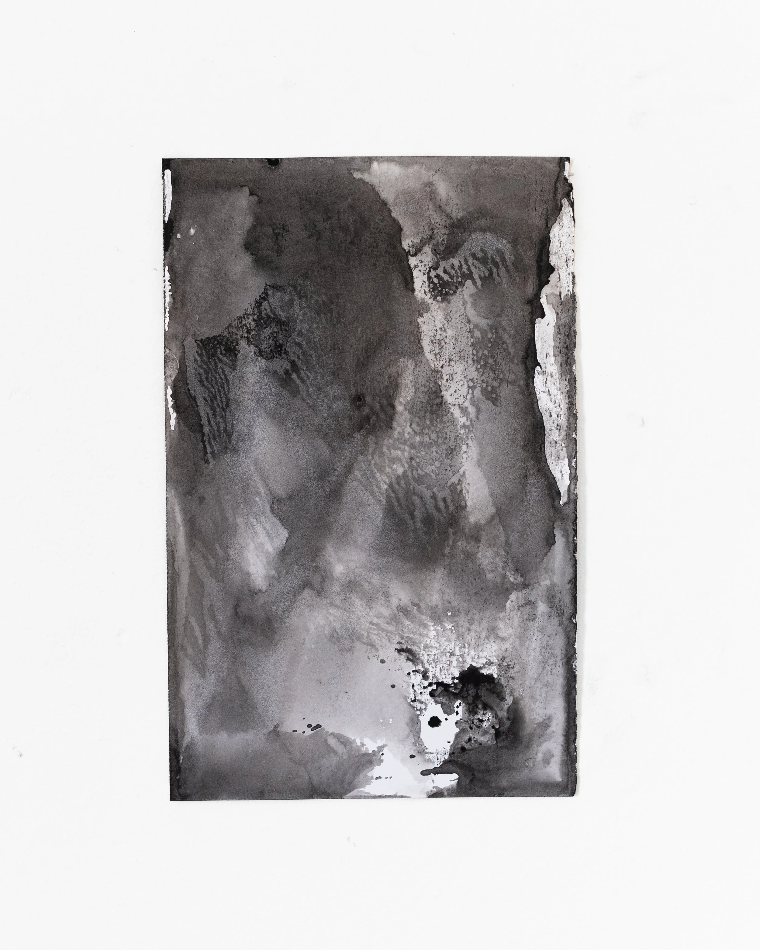 Archives-6.jpg