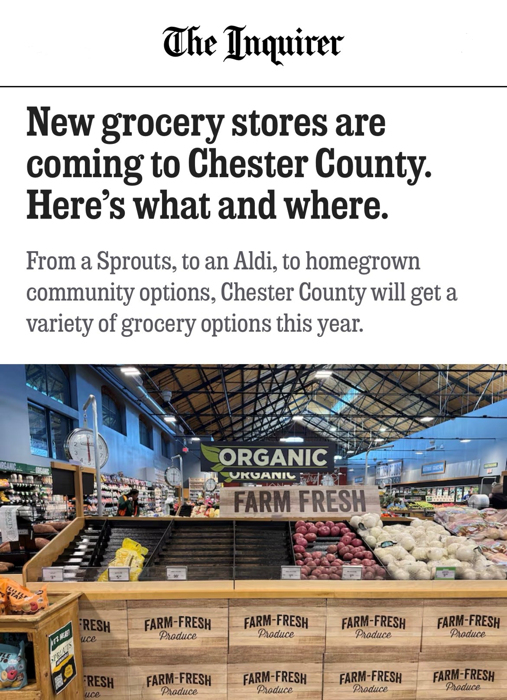 Newsletter: February 2026