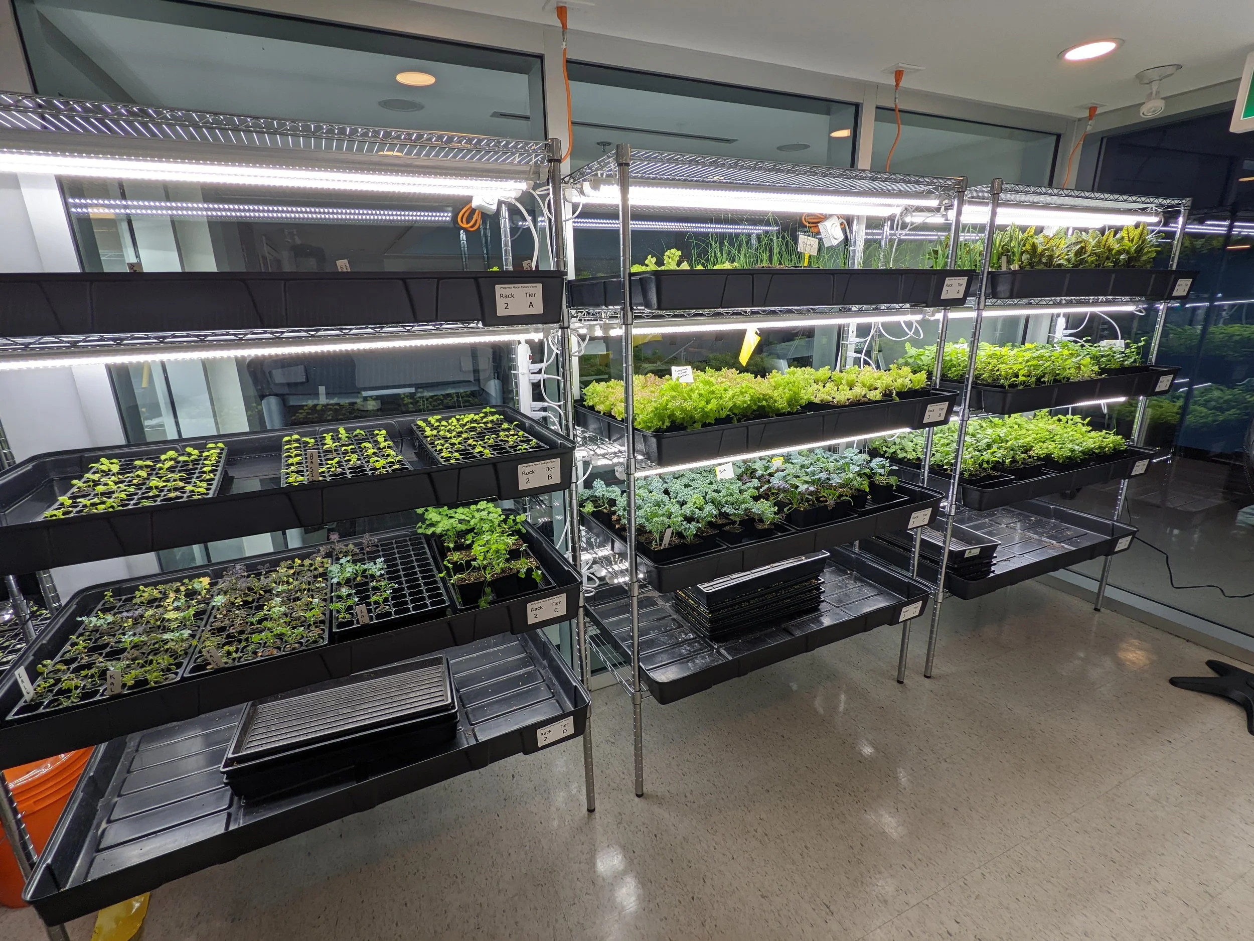 Progress Place Project Portfolio — Boreal Farms