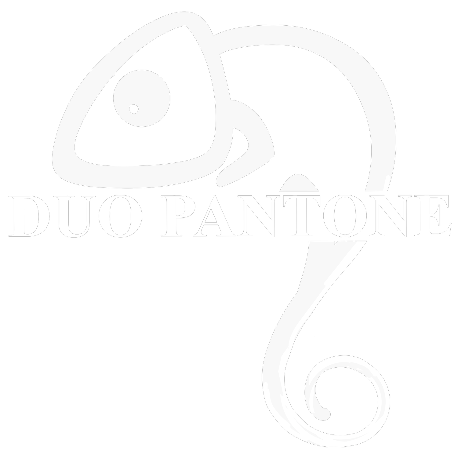   Duo Pantone