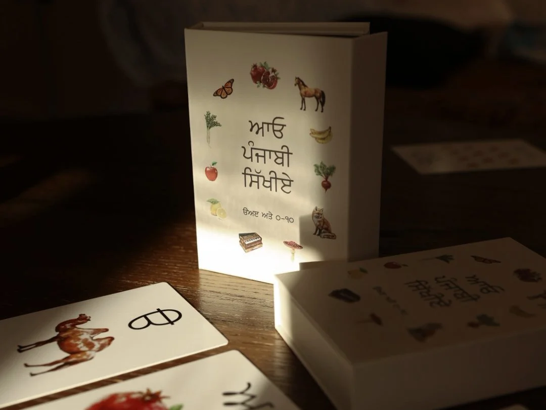 Gurmukhi Alphabet & Number Flashcards