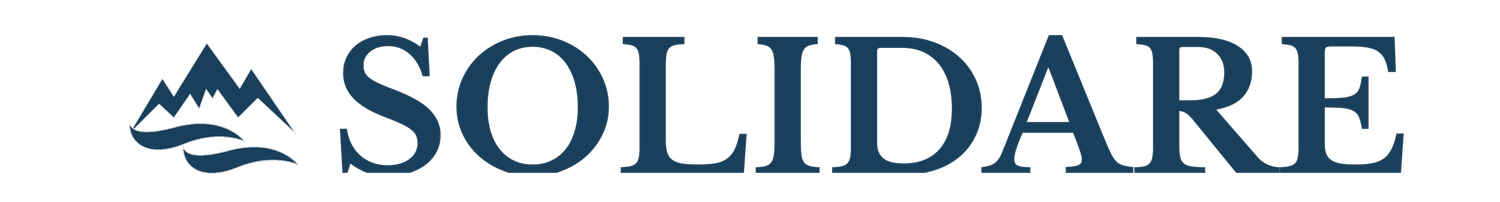Solidare Consulting