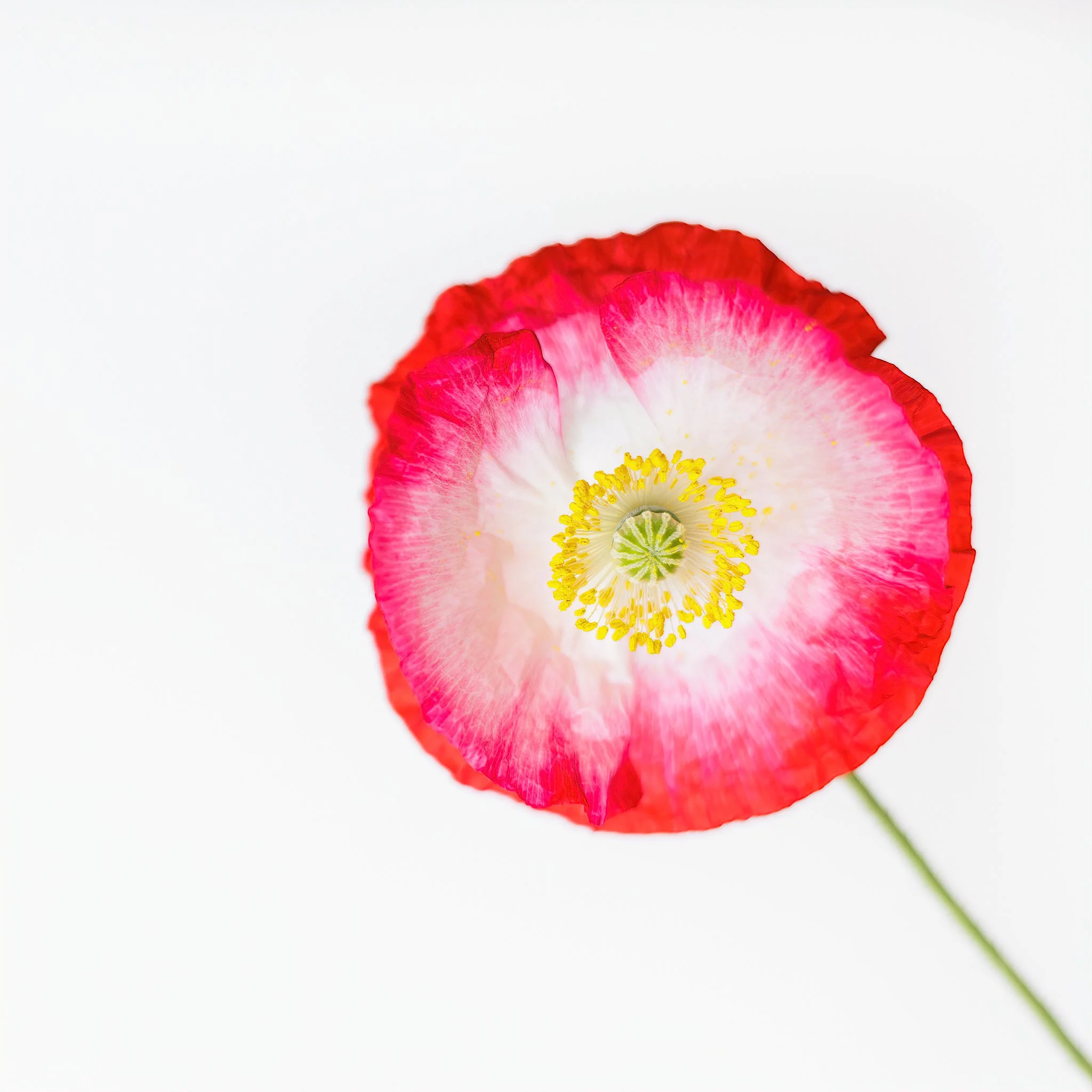 Home Page Photos-40_035_AI.jpeg