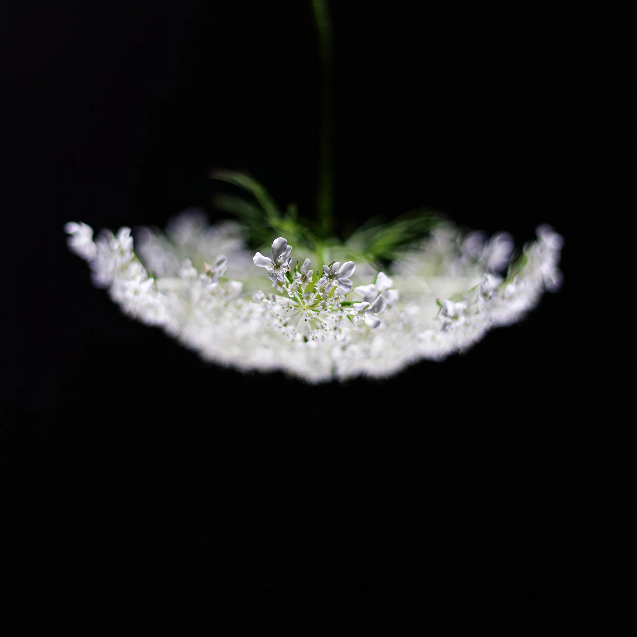 Home Page Photos-30_024_AI.jpeg