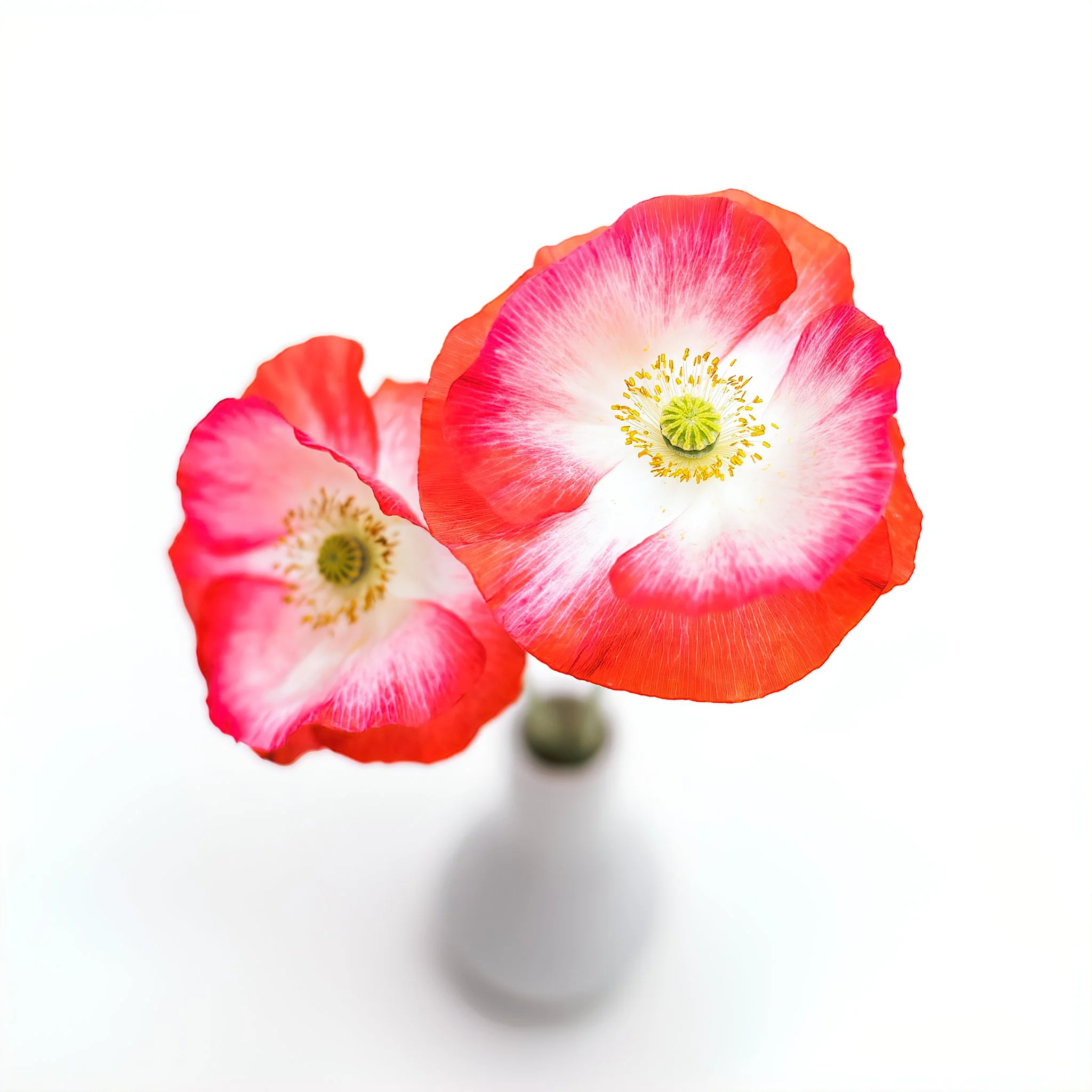 Home Page Photos-41_036_AI.jpeg