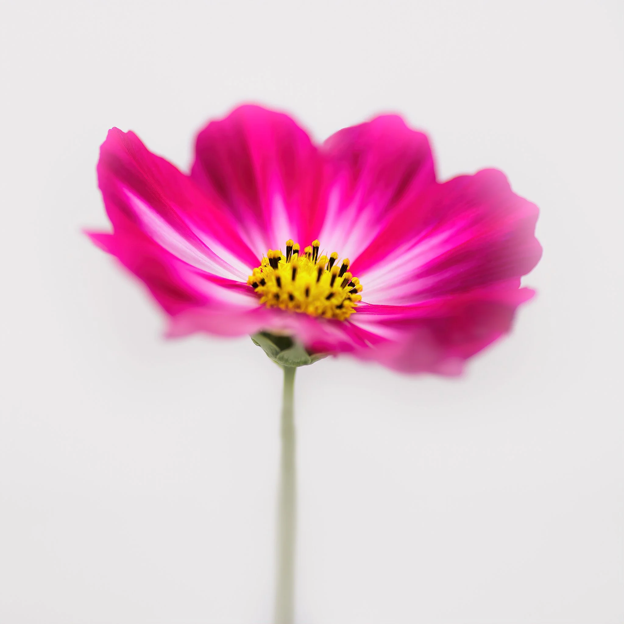 Home Page Photos-36_030_AI.jpeg