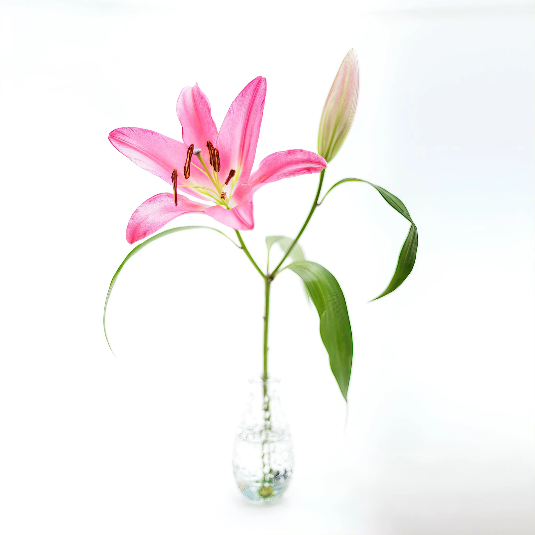 Home Page Photos-29_022_AI.jpeg