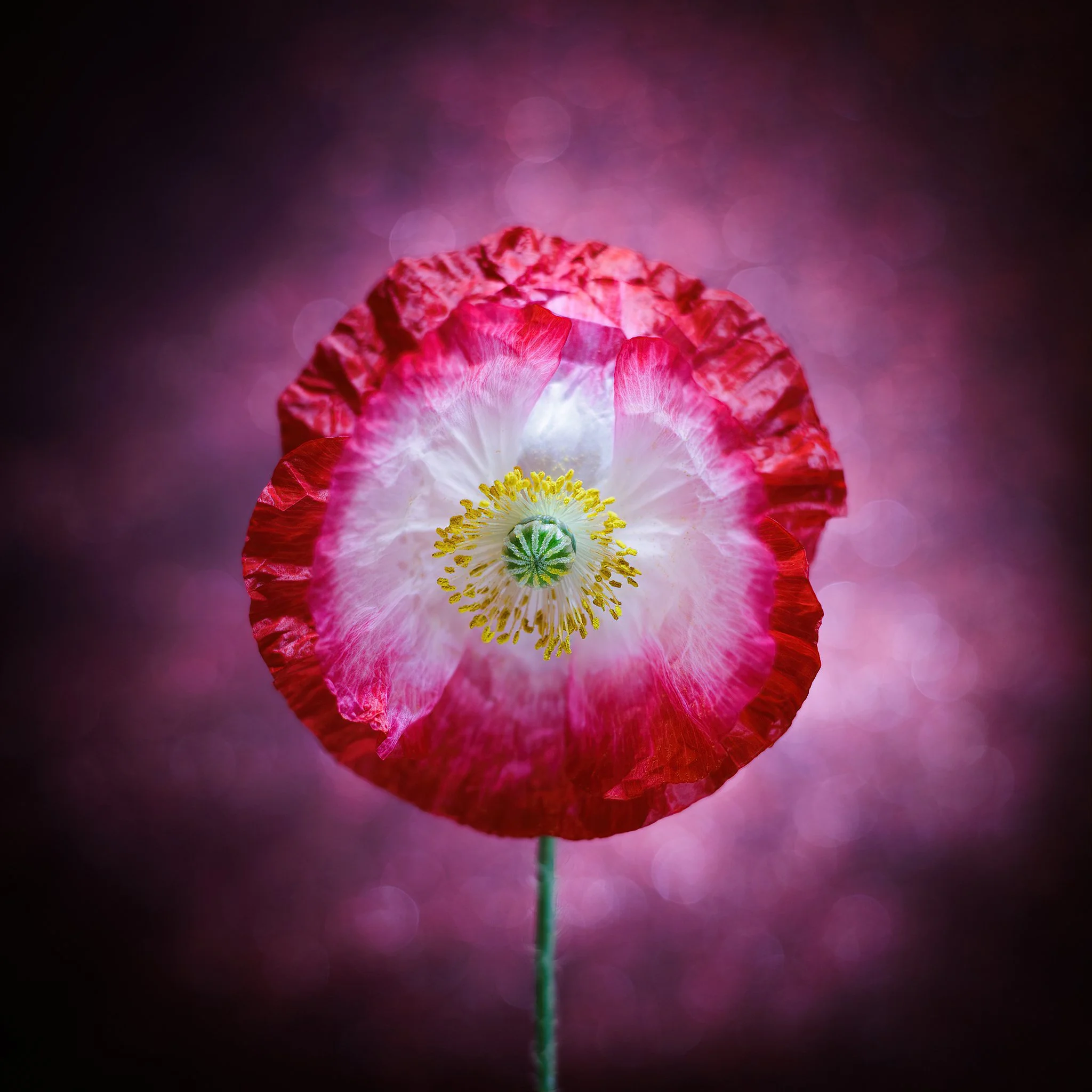 Home Page Photos-42_037_AI.jpeg