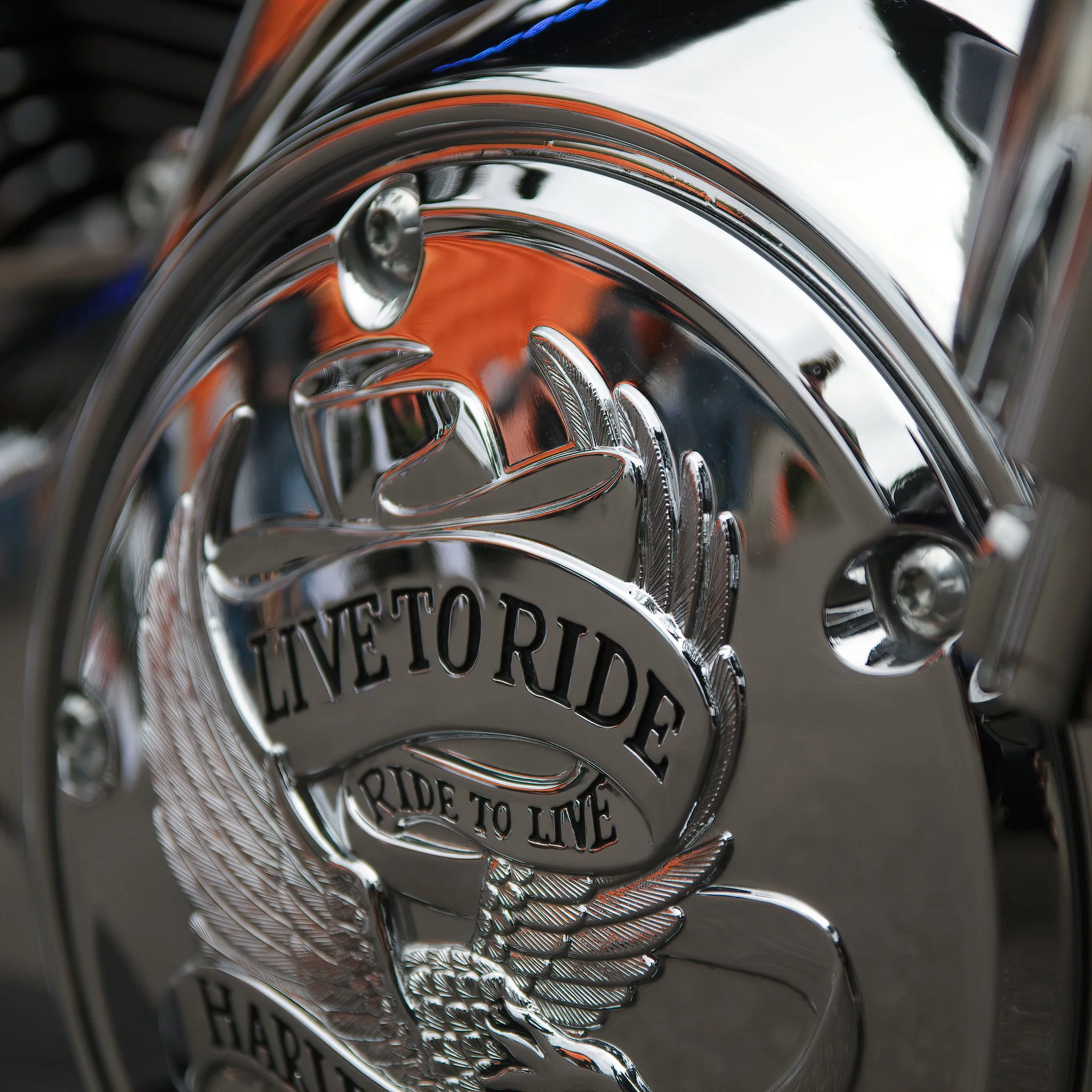 Home Page Photos-4_034_AI.jpeg