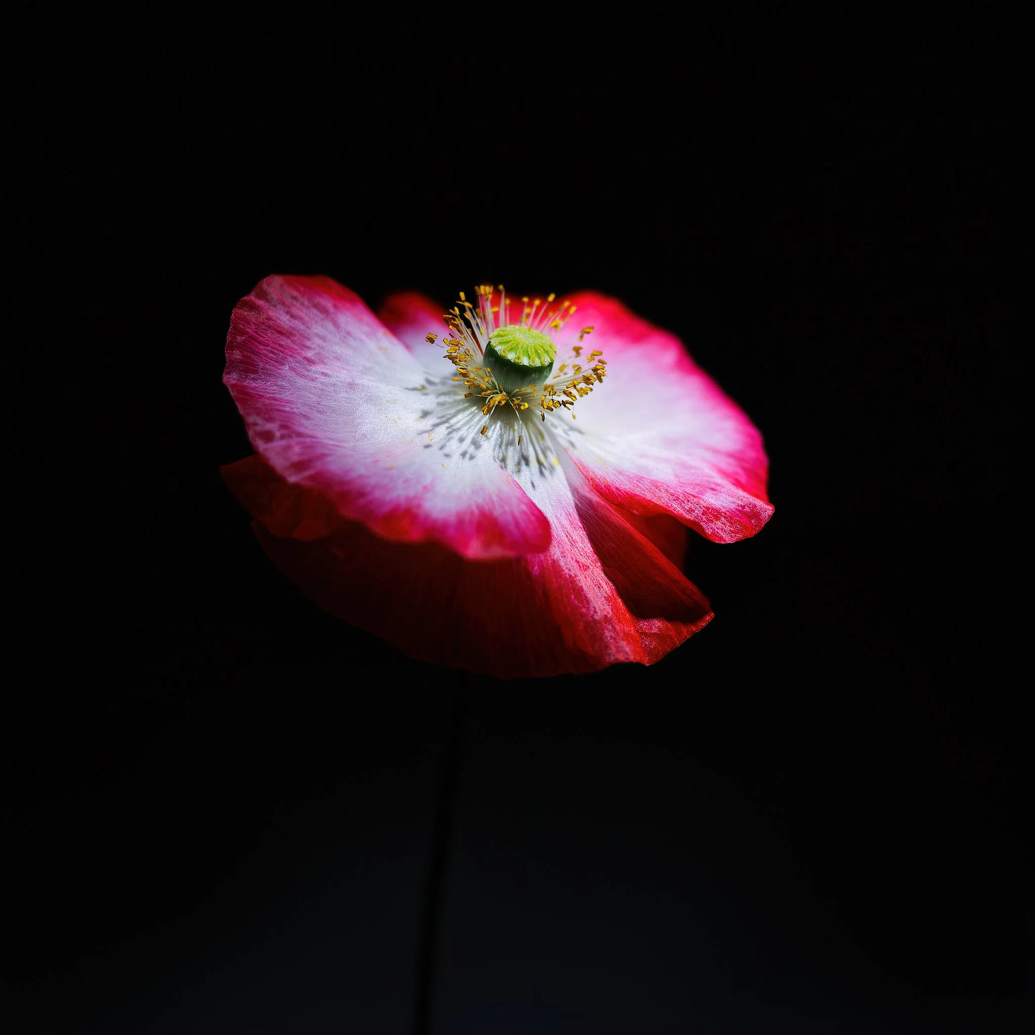 Home Page Photos-43_038_AI.jpeg