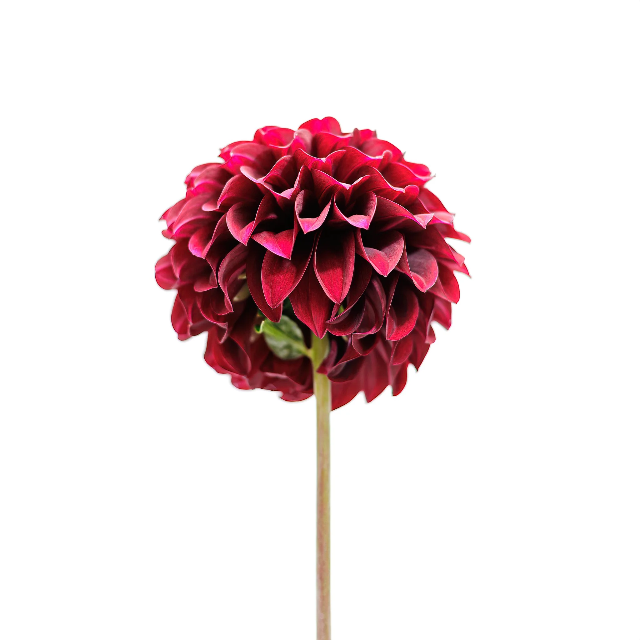 Home Page Photos-39_033_AI.jpeg