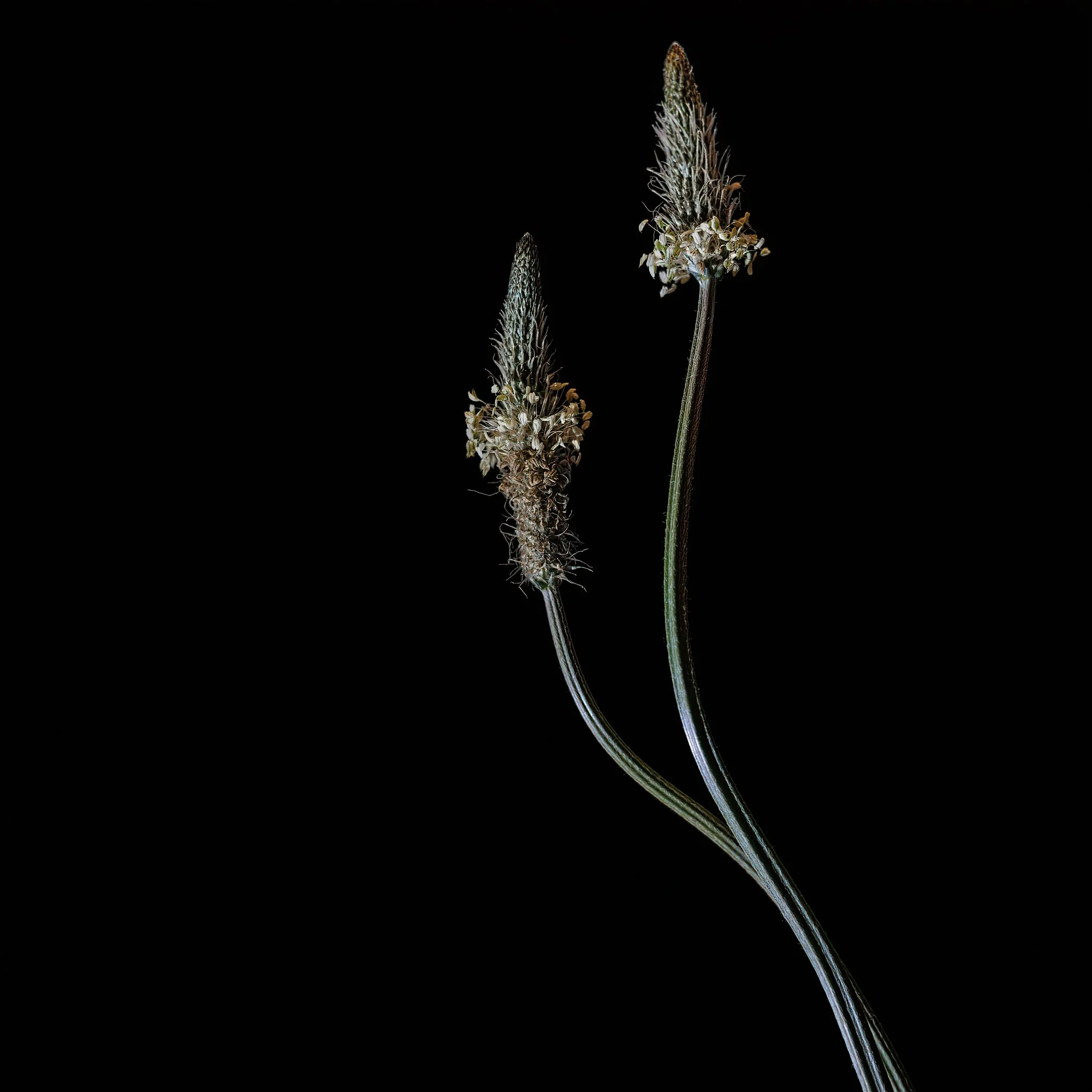 Home Page Photos-33_027_AI.jpeg