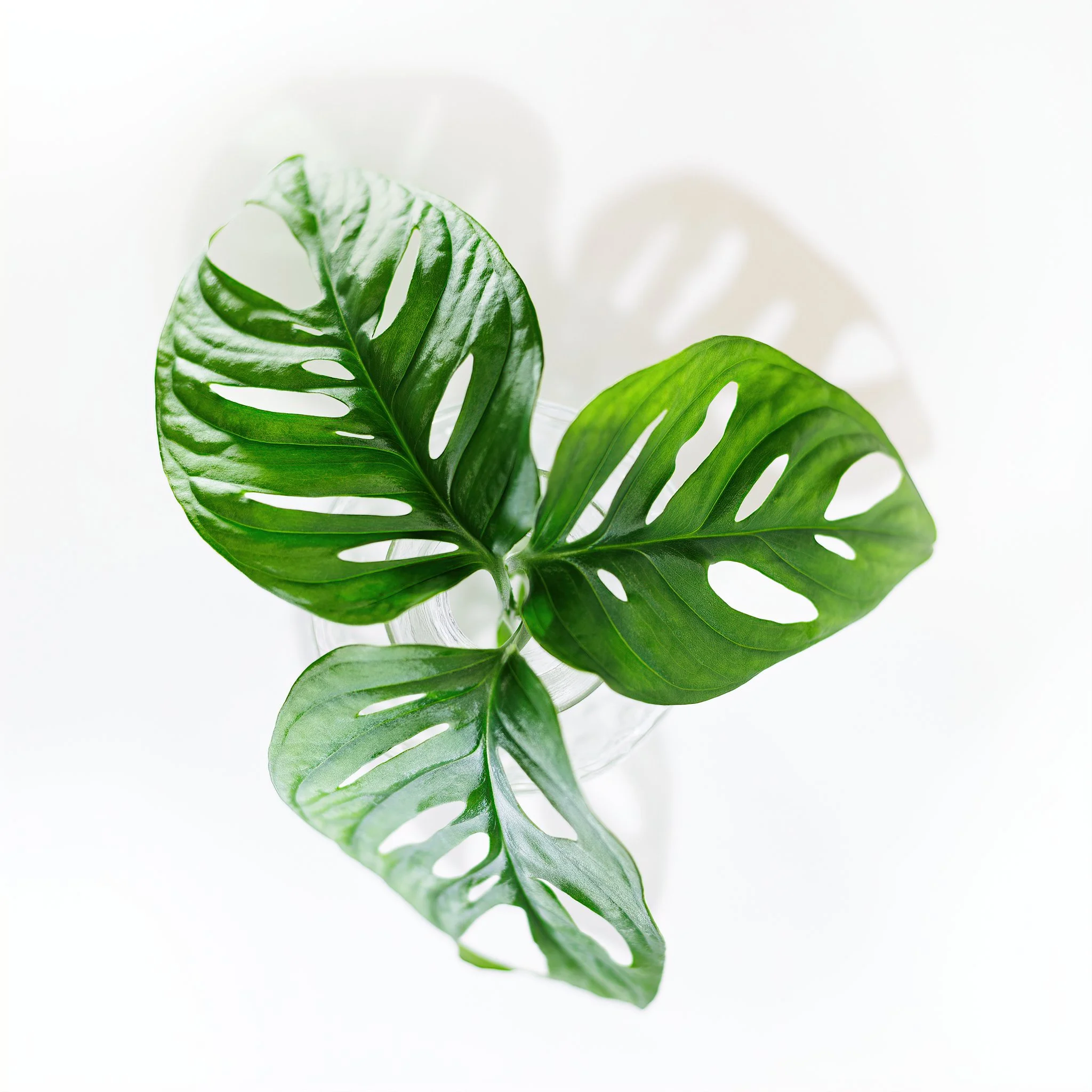 Home Page Photos-31_025_AI.jpeg