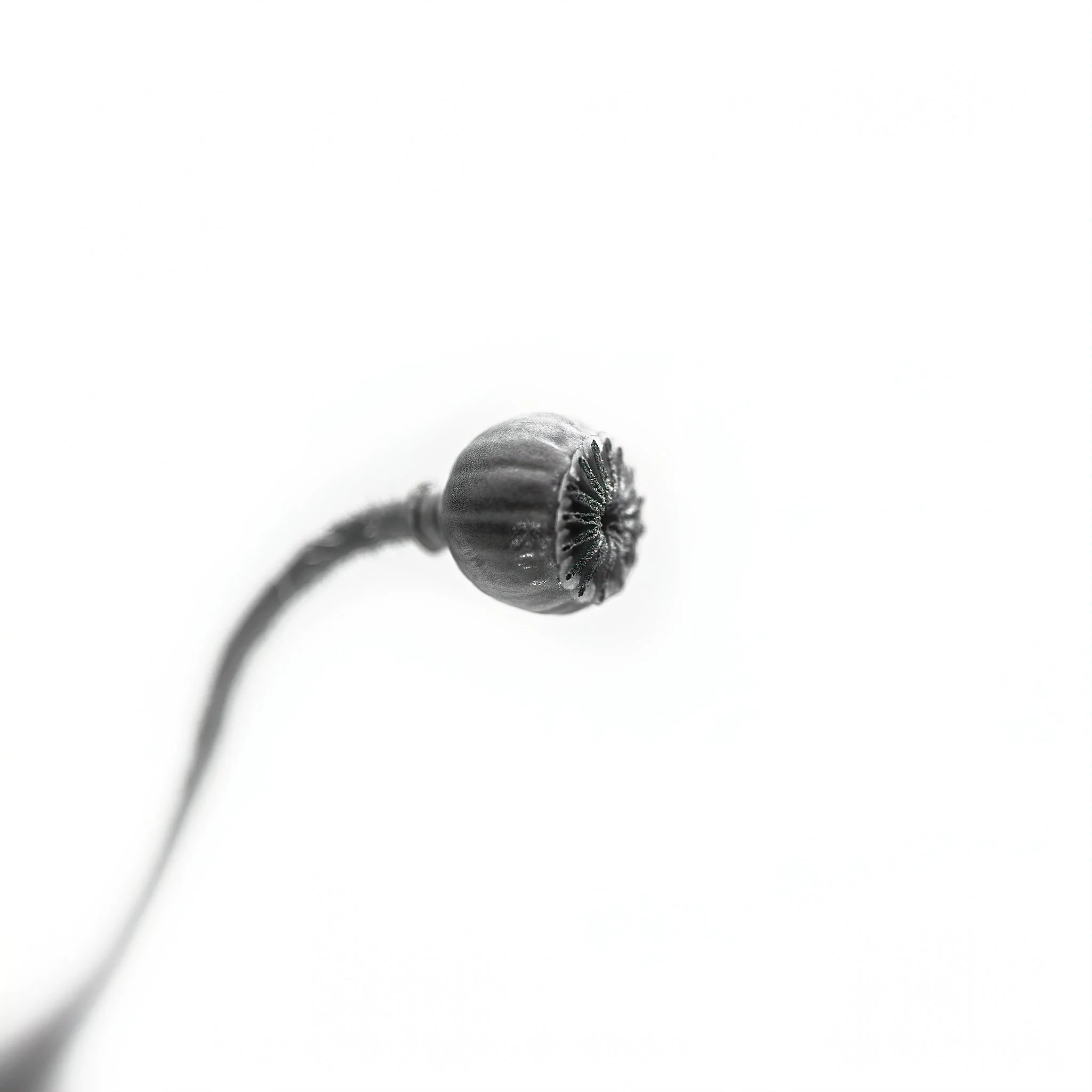 Home Page Photos-37_031_AI.jpeg