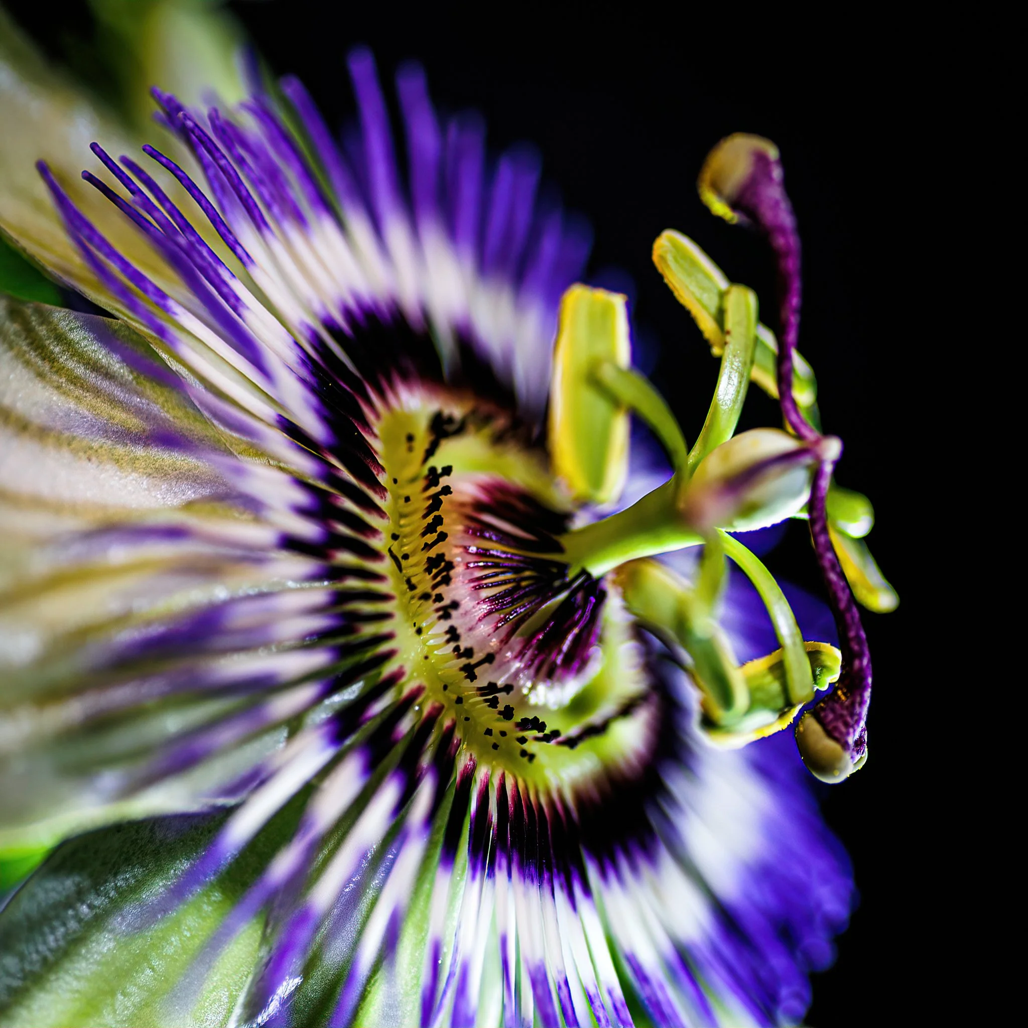 Home Page Photos-32_026_AI.jpeg