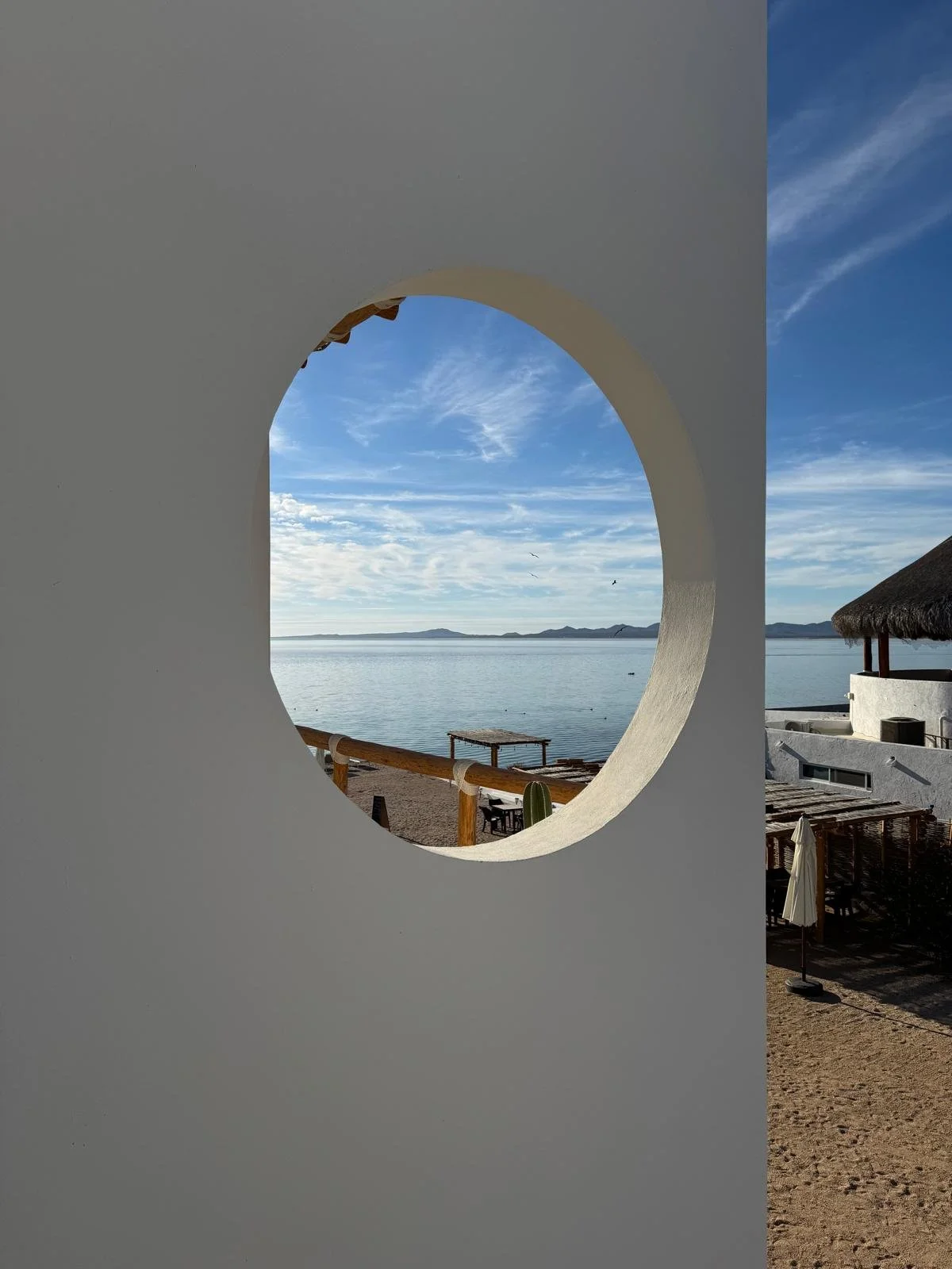 WhatsApp Image 2026-04-07 at 10.03.39 AM (1).jpeg