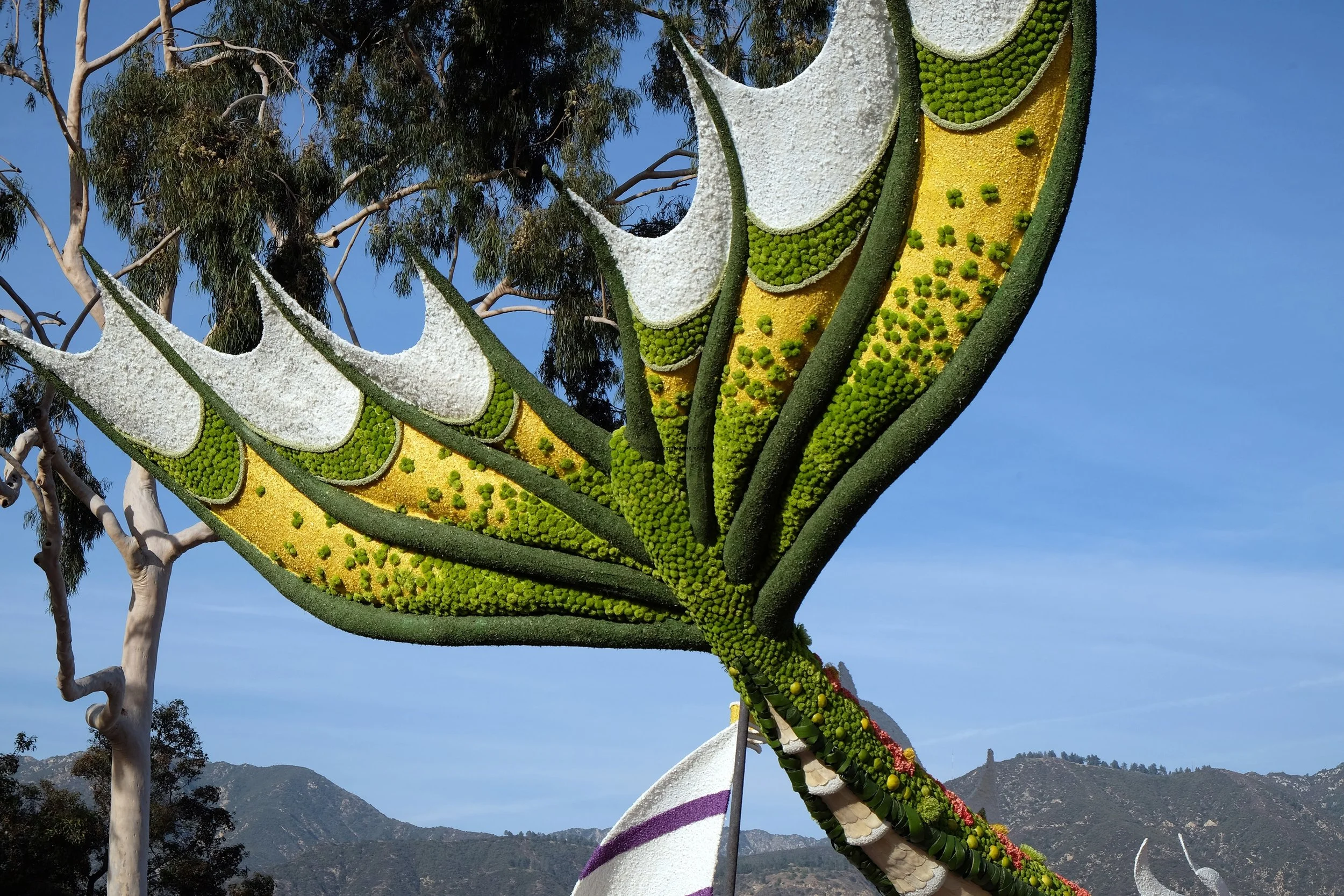 UPS Store 2018 Rose Parade Charles Meier