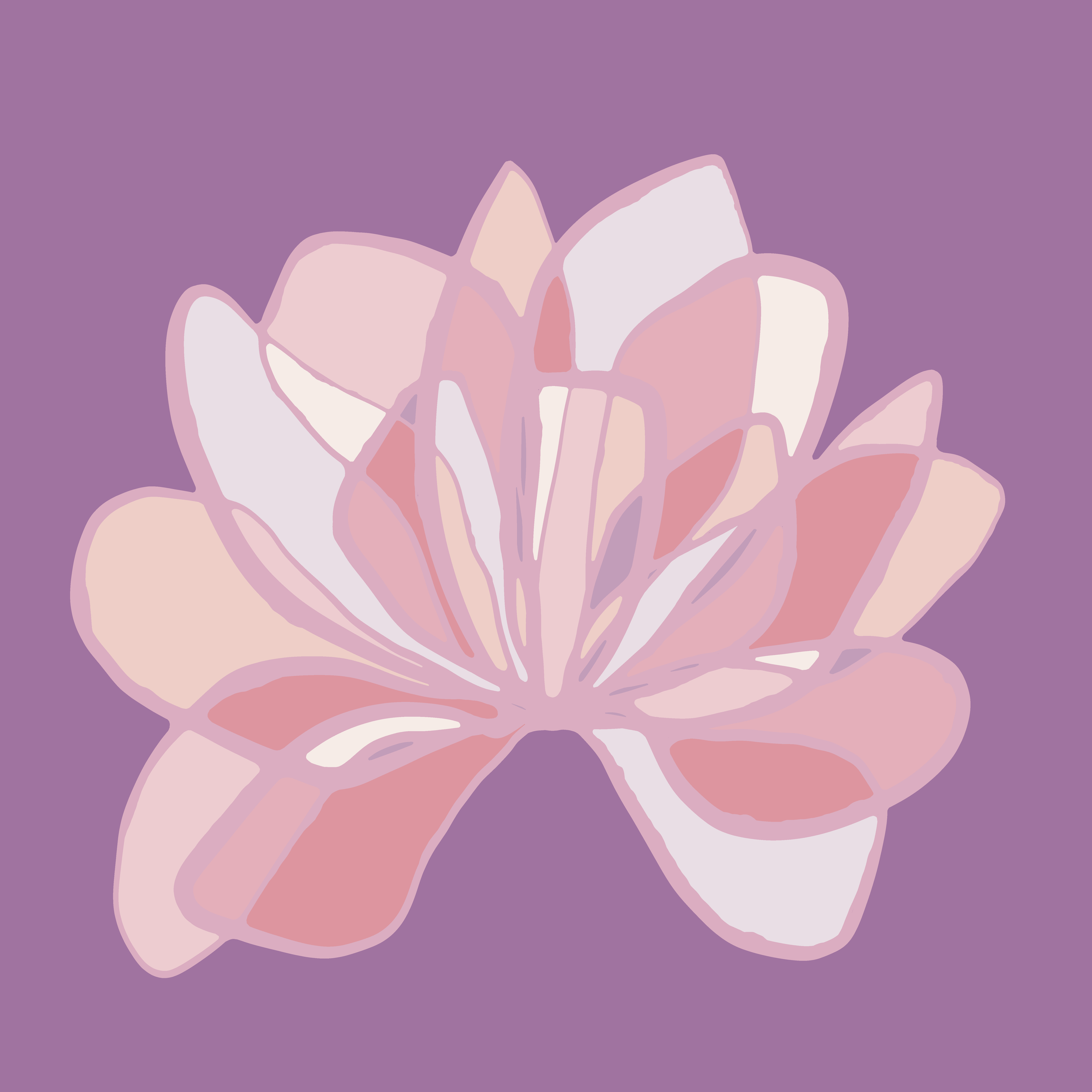 Pink Lotus

A lotus style floral in warm pinks.