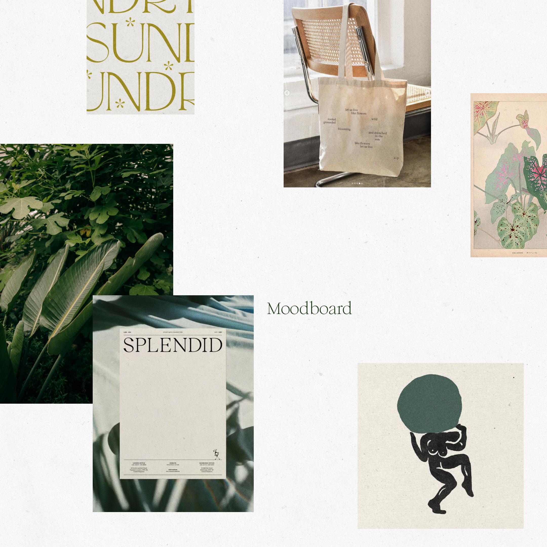 Instagram post - 3.png