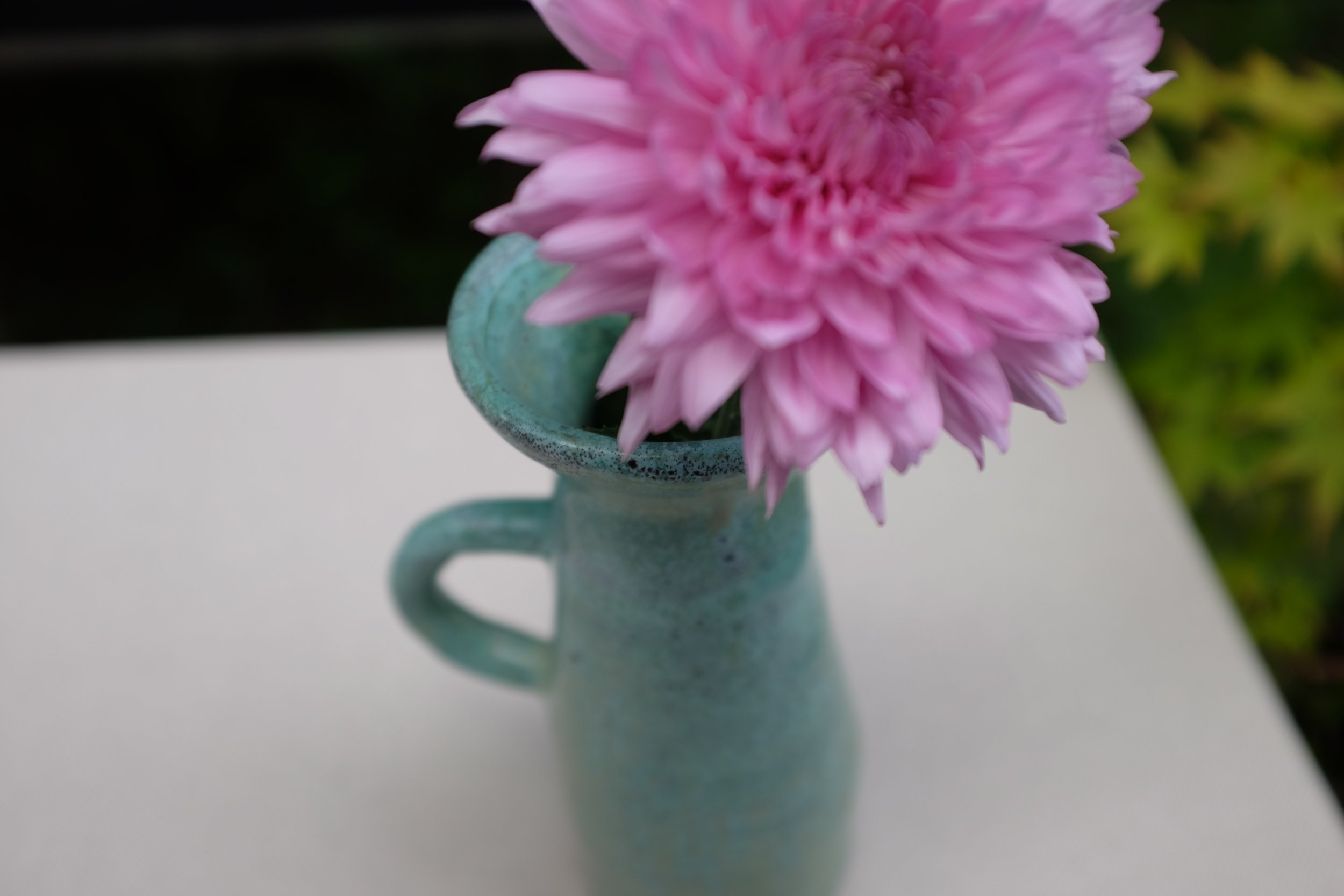 1BC5F14A-222B-46CB-9BEE-ADF13D58EDA1.jpeg