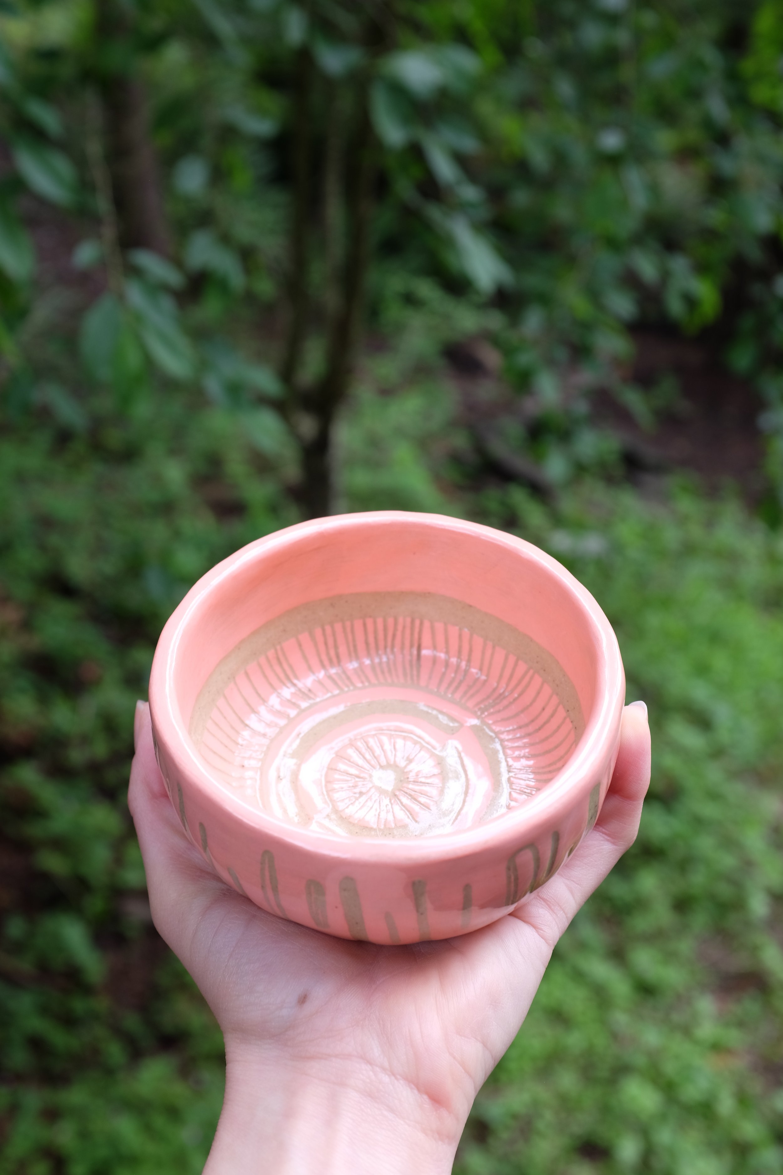 F0697798-16DF-4B44-877C-A798A7EA13B4.jpeg