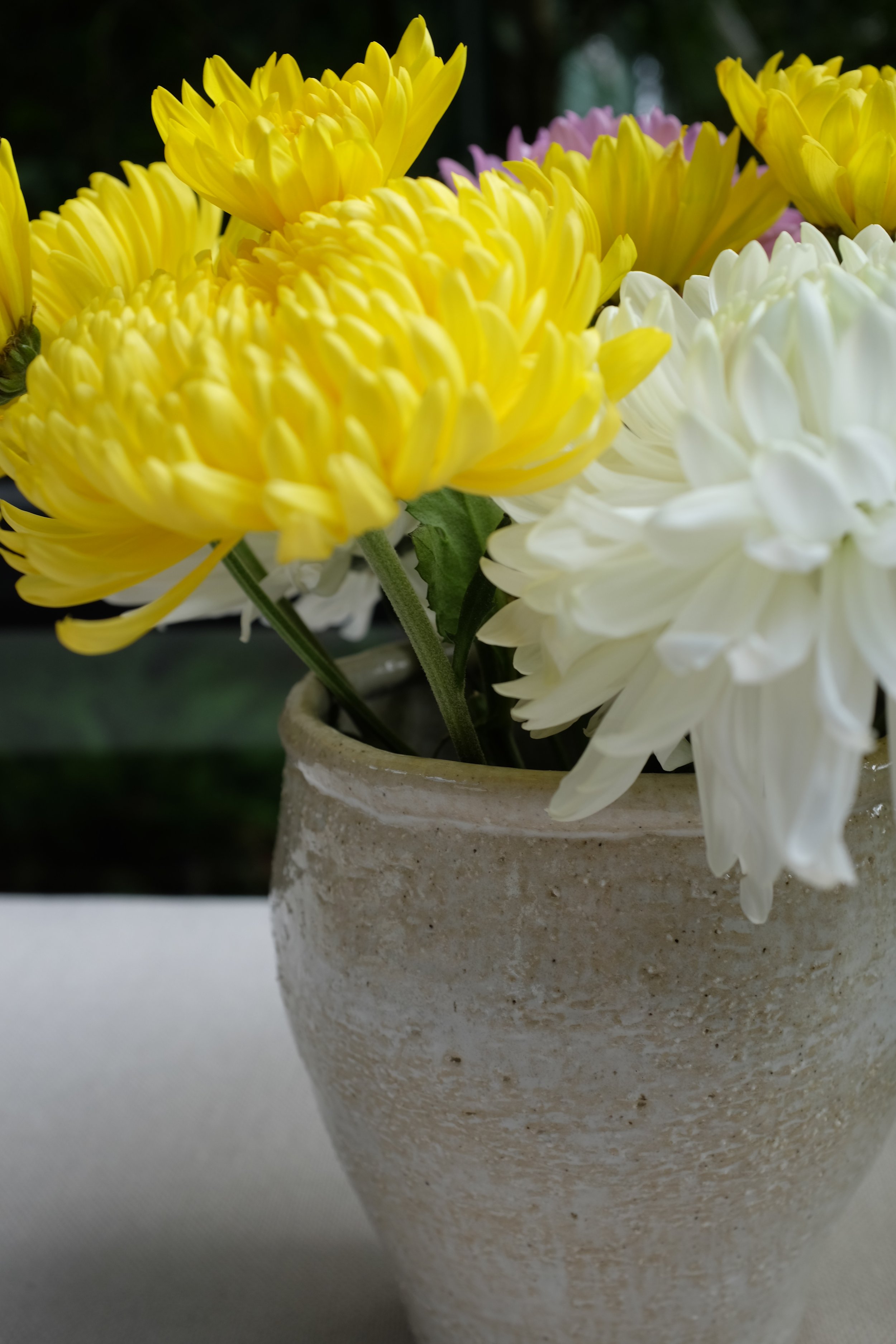 C9D298FD-5655-4A7C-A7CF-992F3A4317B9.jpeg