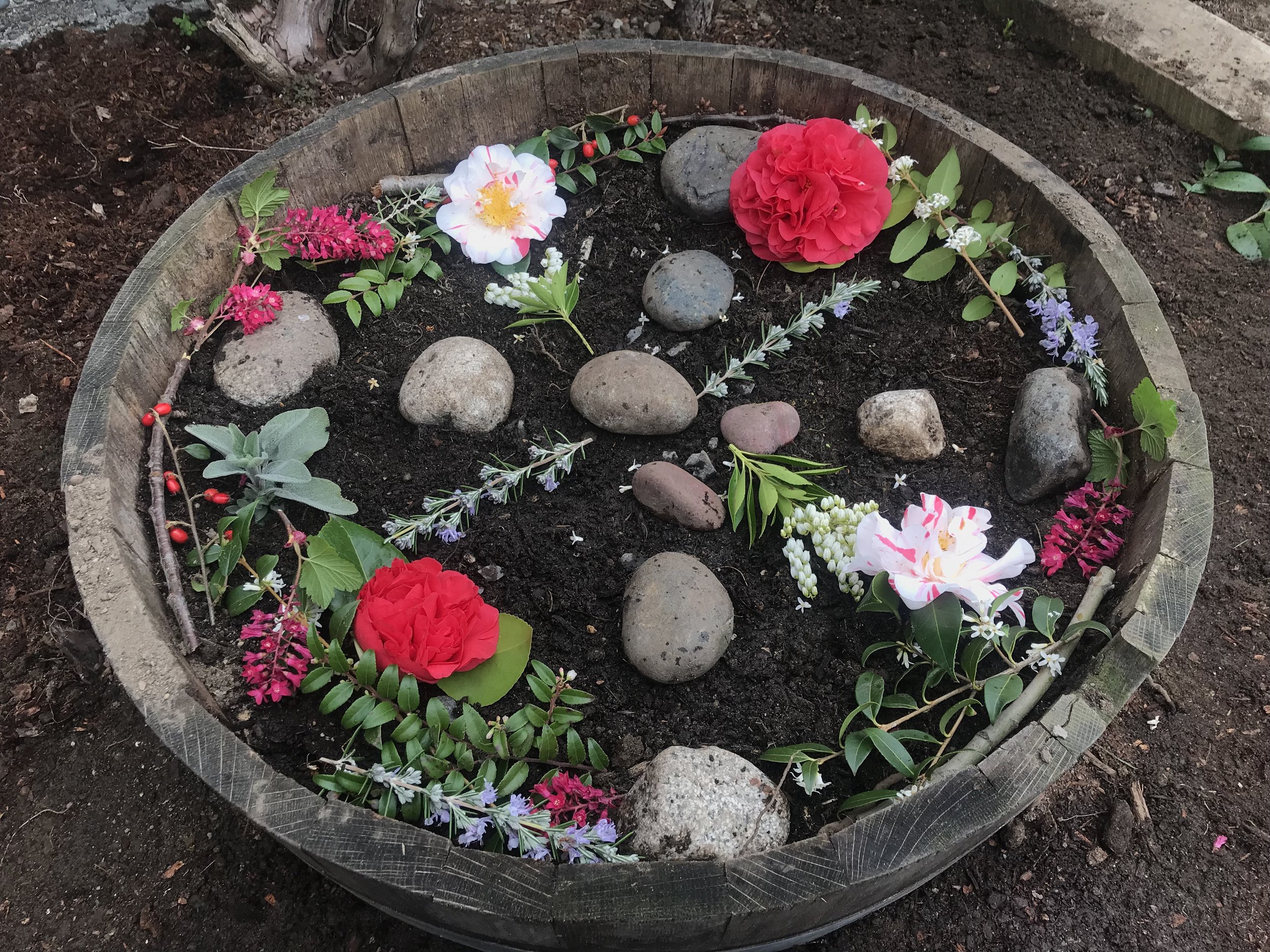 Creating art with nature