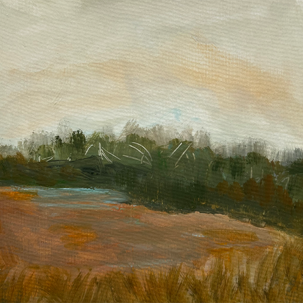 Landscape7_website.png