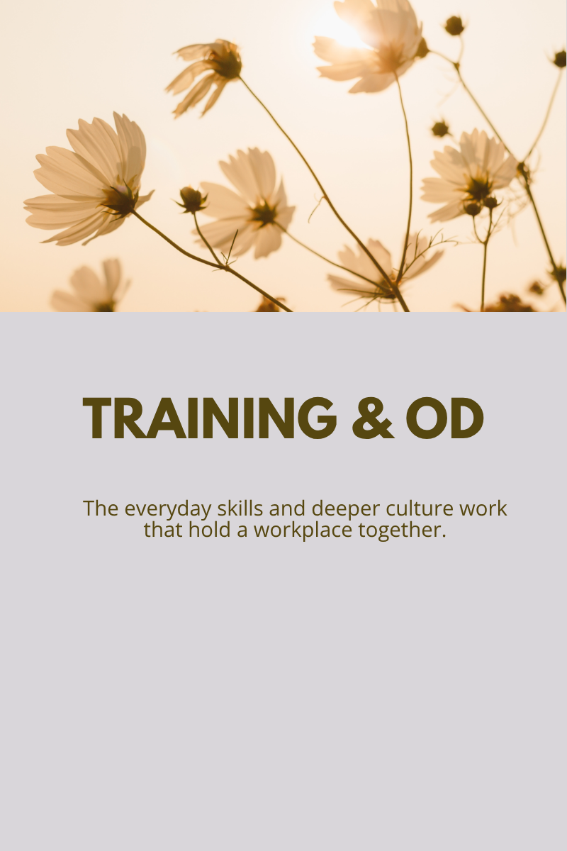 Training & OD: The everyday skills and deeper culture work that hold a workplace together. Learn more.