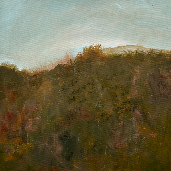 Landscape6_website.png