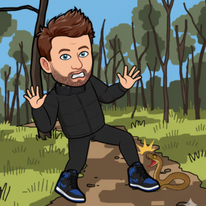 Brown snake bites first aid guide in Adelaide