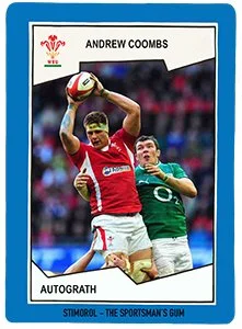 Andrew Coombs Wales Rugby Union