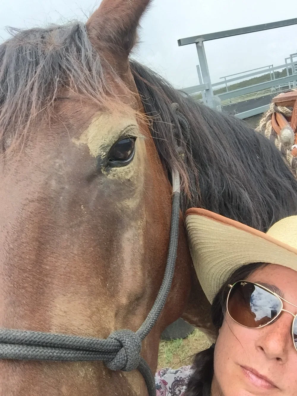 Muddy Jane and Cairo Heads.JPG