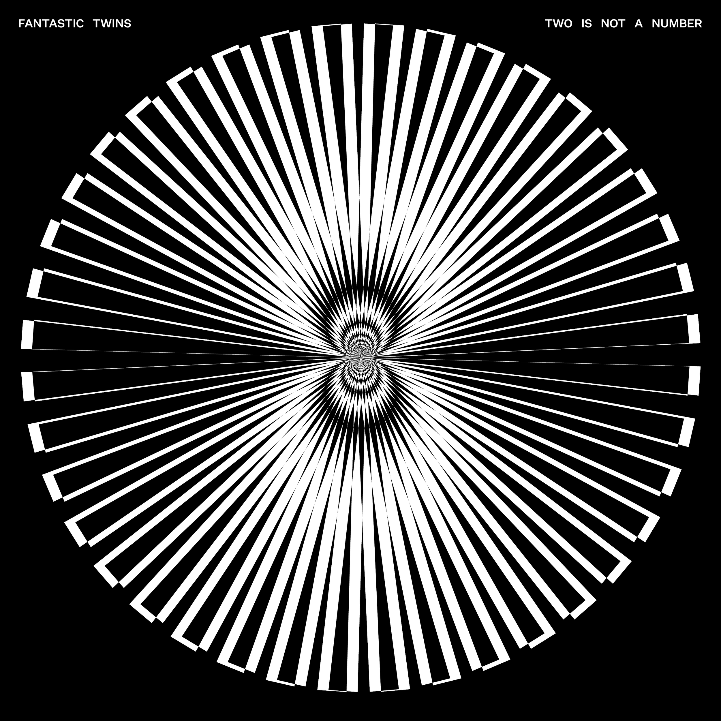 Fantastic Twins announces new album Two Is Not a Number