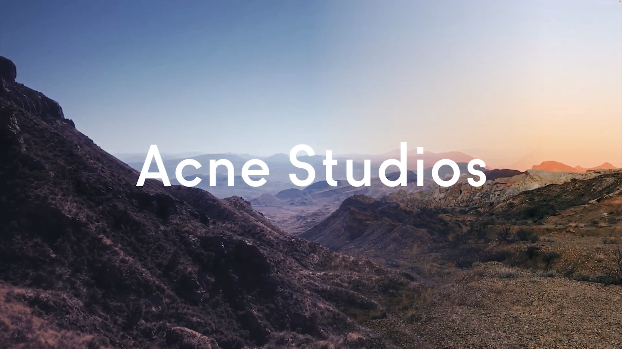 Acne Studios Women's Fall Winter 2018
