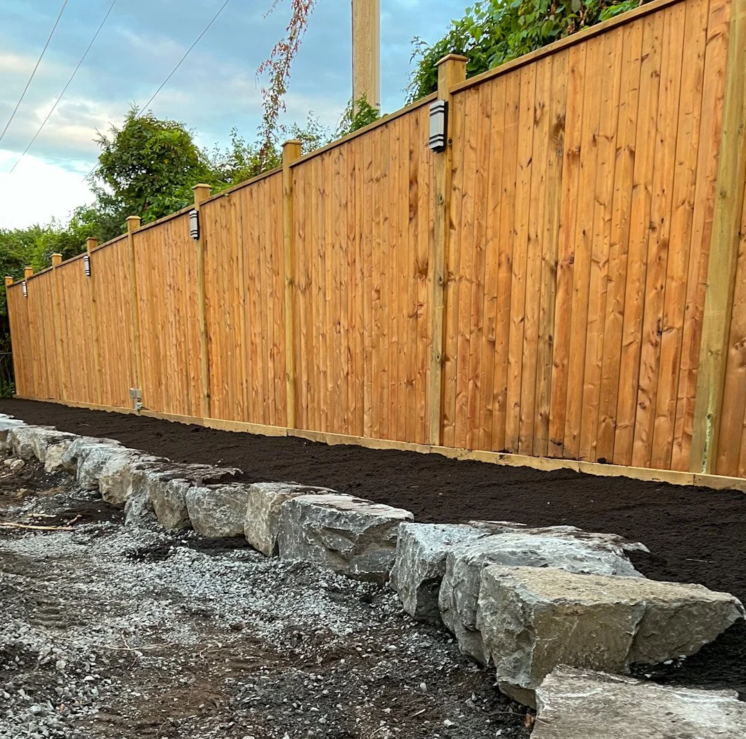 image_6483441 (3).JPG