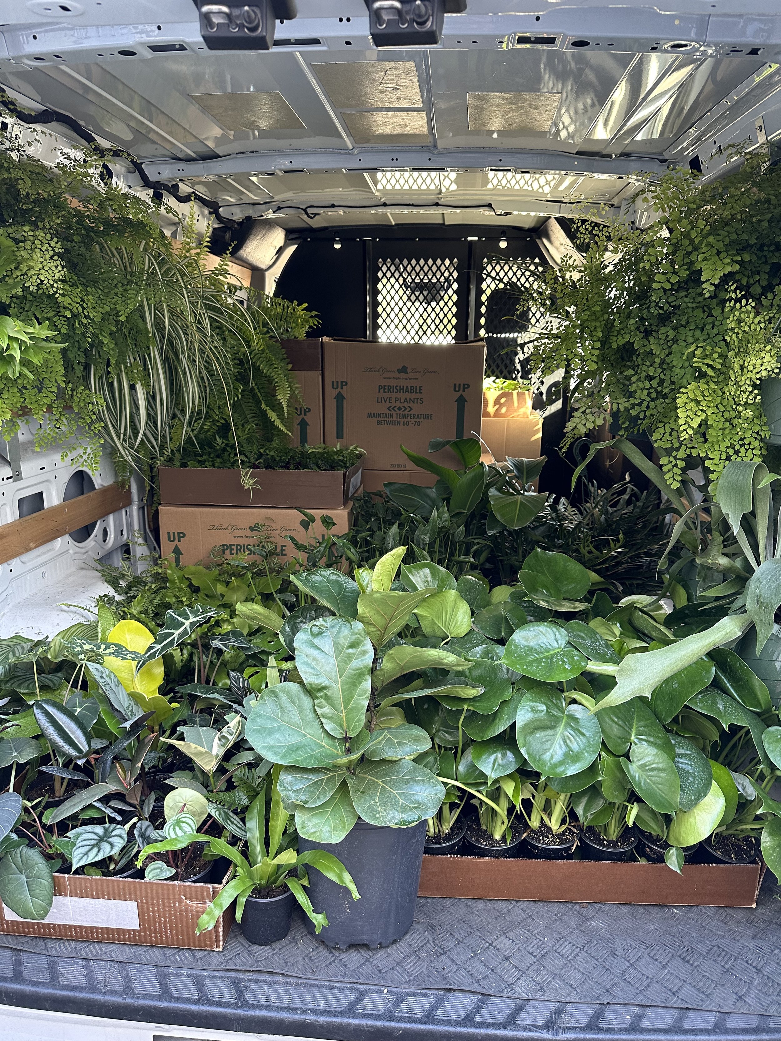 Variety of different plants loaded onto a delivery truck for Plantsman. Nick Vicchiullo: The Plantsman Behind Interior and Exterior Landscaping in Orlando, FL.