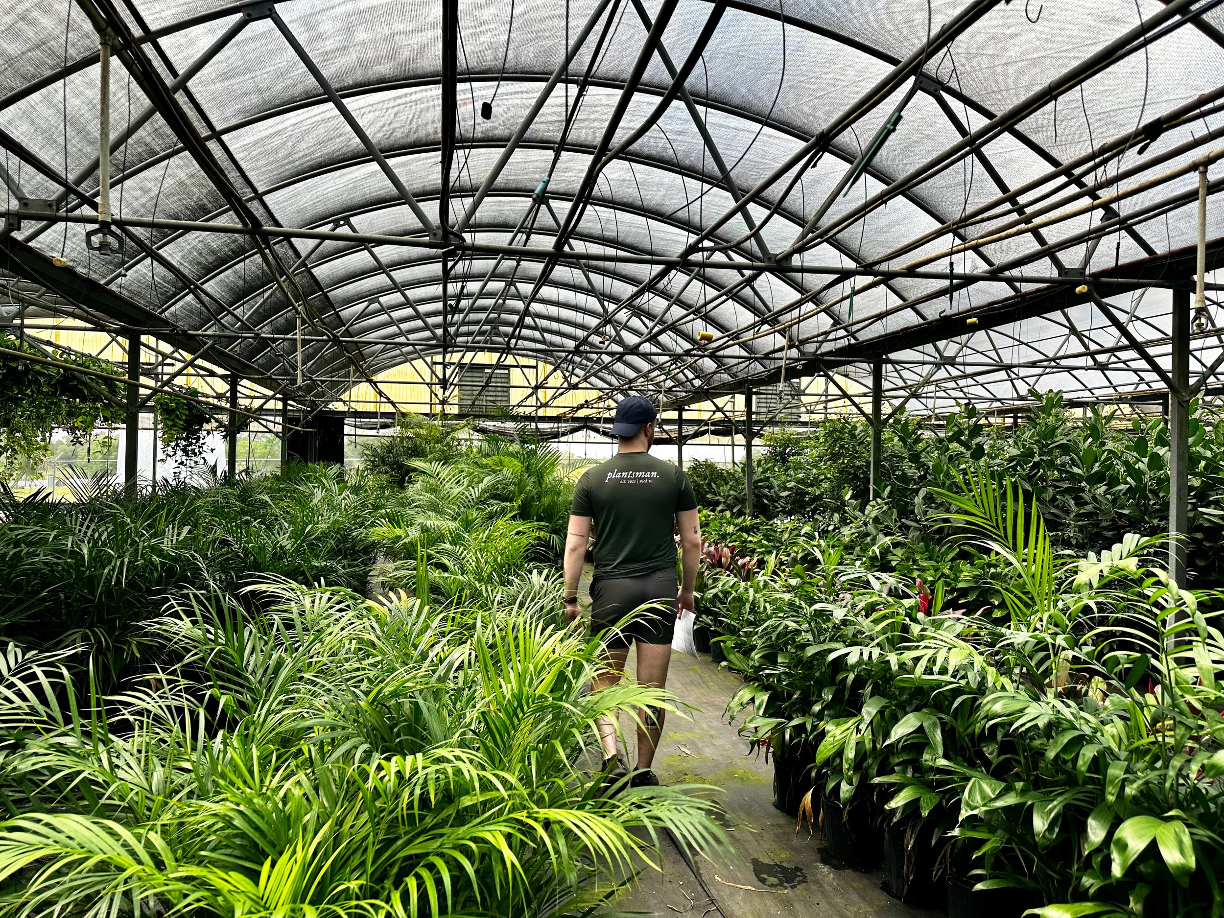 Nick Vicchiullo of Plantsman handpicking plants for a client in Orlando, Florida. Nick Vicchiullo: The Plantsman Behind Interior and Exterior Landscaping in Orlando, FL.