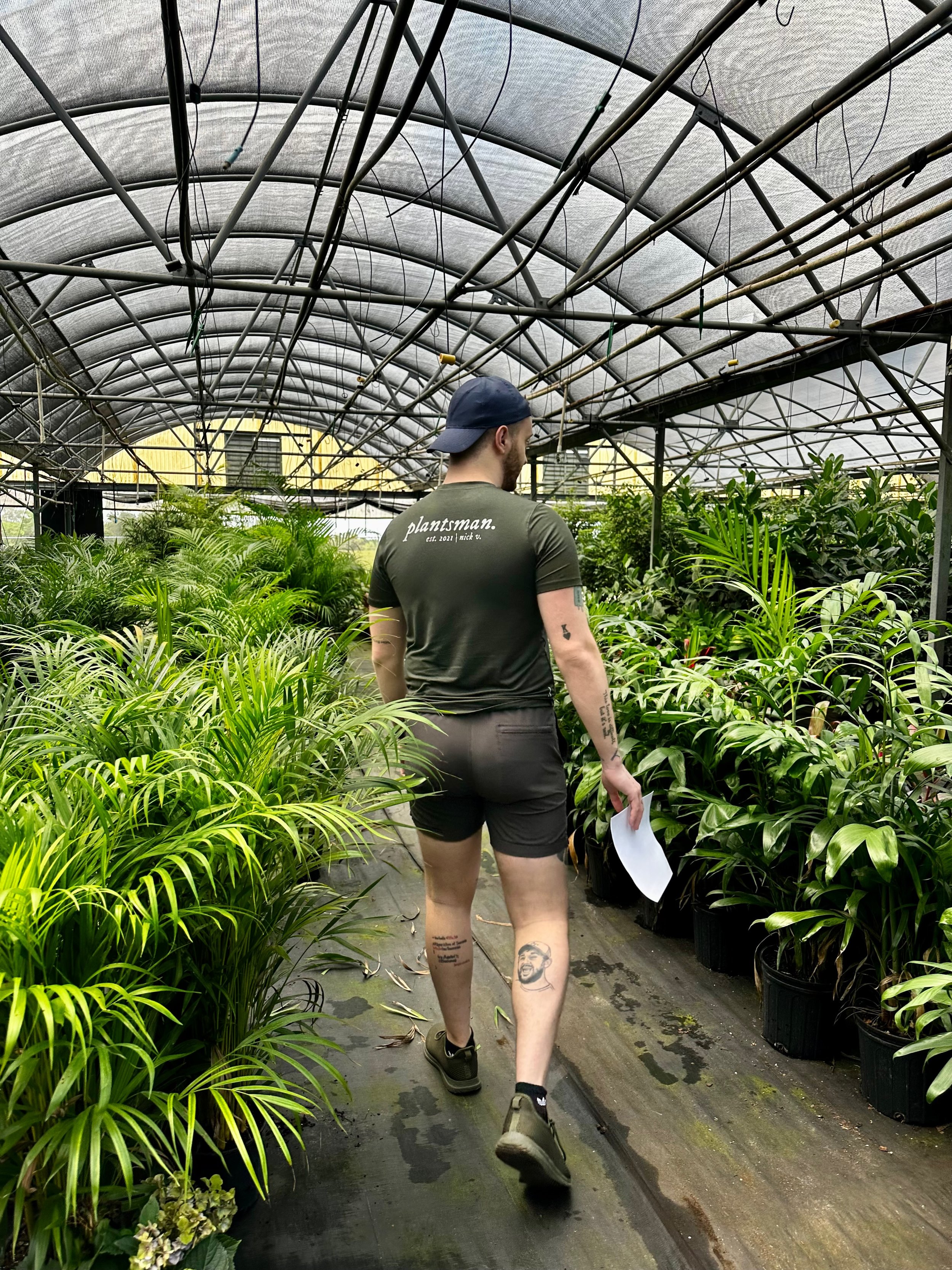 Nick Vicchiullo of Plantsman handpicking plants for a client in Orlando, Florida.