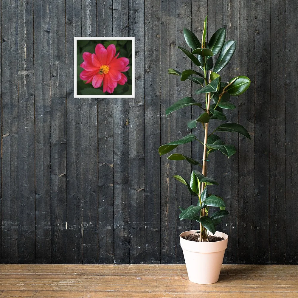 enhanced-matte-paper-framed-poster-(in)-white-16x16-lifestyle-2-67db94b2adec1.jpg