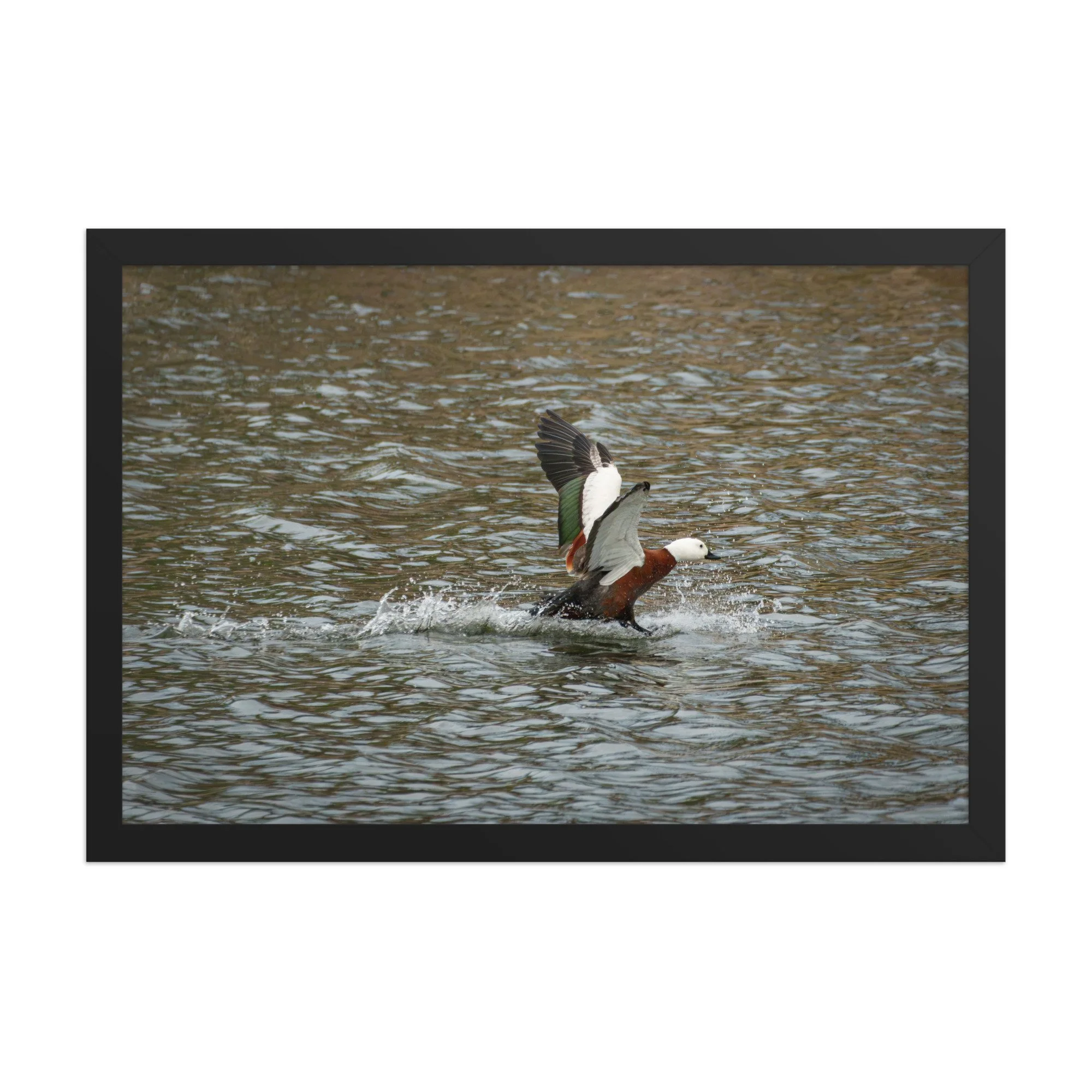 enhanced-matte-paper-framed-poster-(in)-black-12x18-front-6aaf63ea1600b.jpg